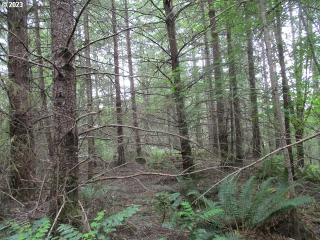 00 Gruber South Rd, Estacada, OR 97023 — photograph 18