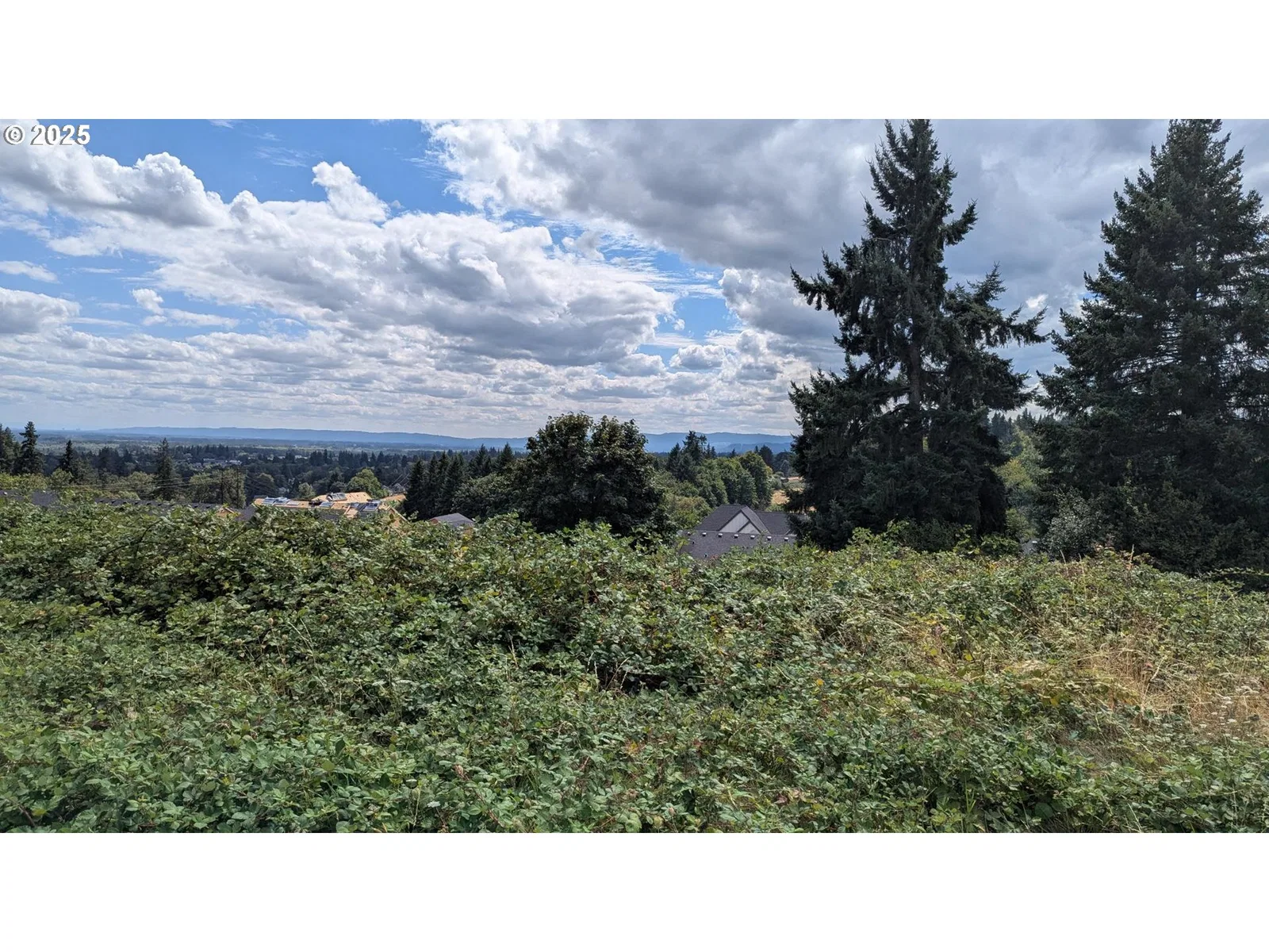 Kestrel View Dr, St. Helens, OR 97051 — photograph 6