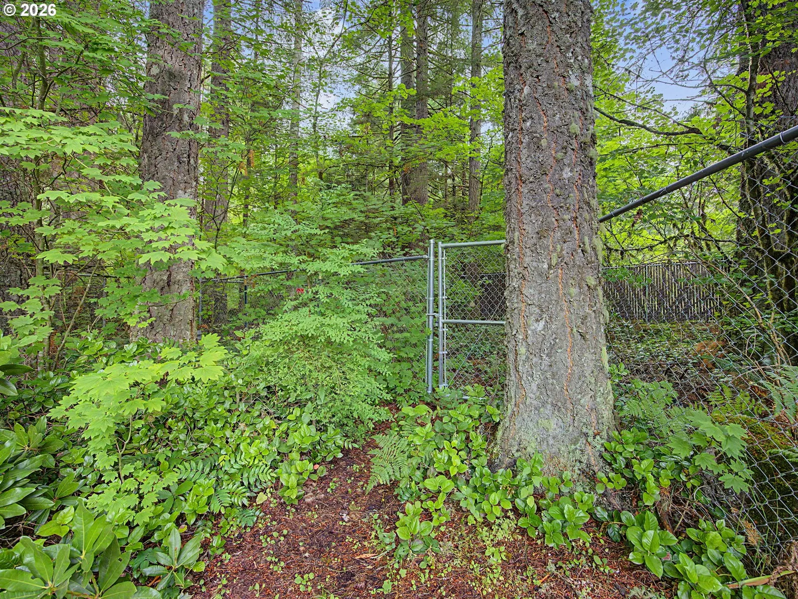 24683 E Cedar Hill Pl, Welches, OR 97067 — photograph 45