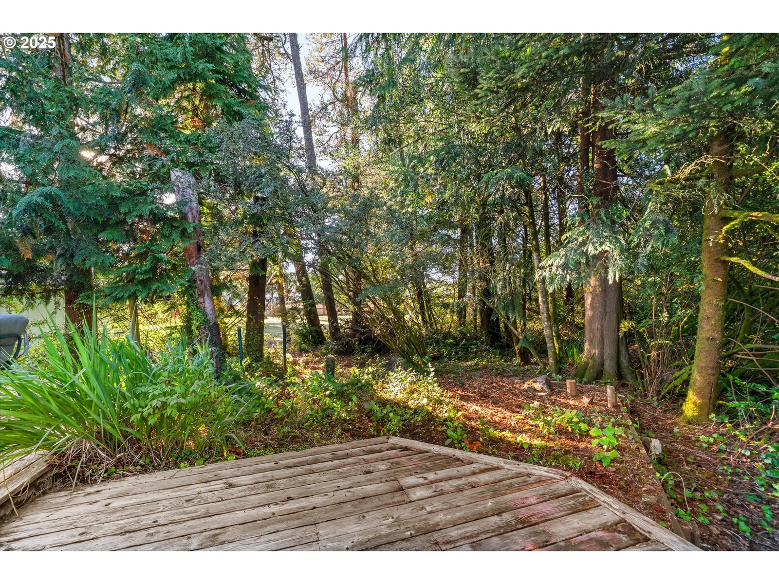 11465 Evergreen Way, Nehalem, OR 97131 — photograph 32