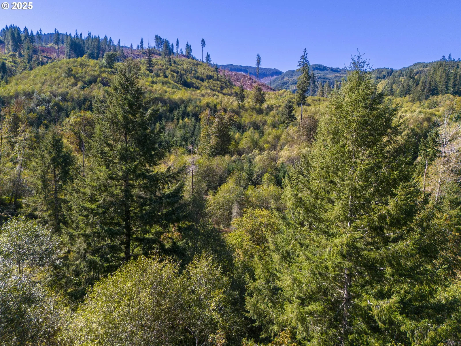 0 Tin Shack Rd, Nehalem, OR 97131 — photograph 14