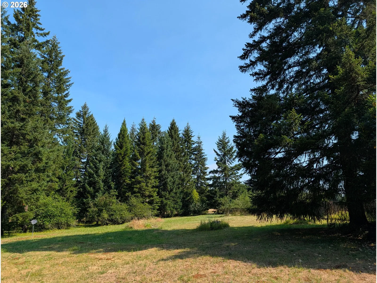 49241 Mountain View Rd, Oakridge, OR 97463 — photograph 9