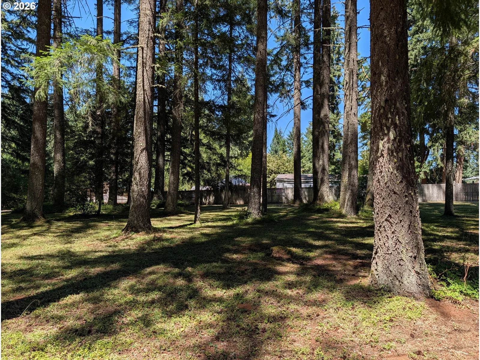 49241 Mountain View Rd, Oakridge, OR 97463 — photograph 7
