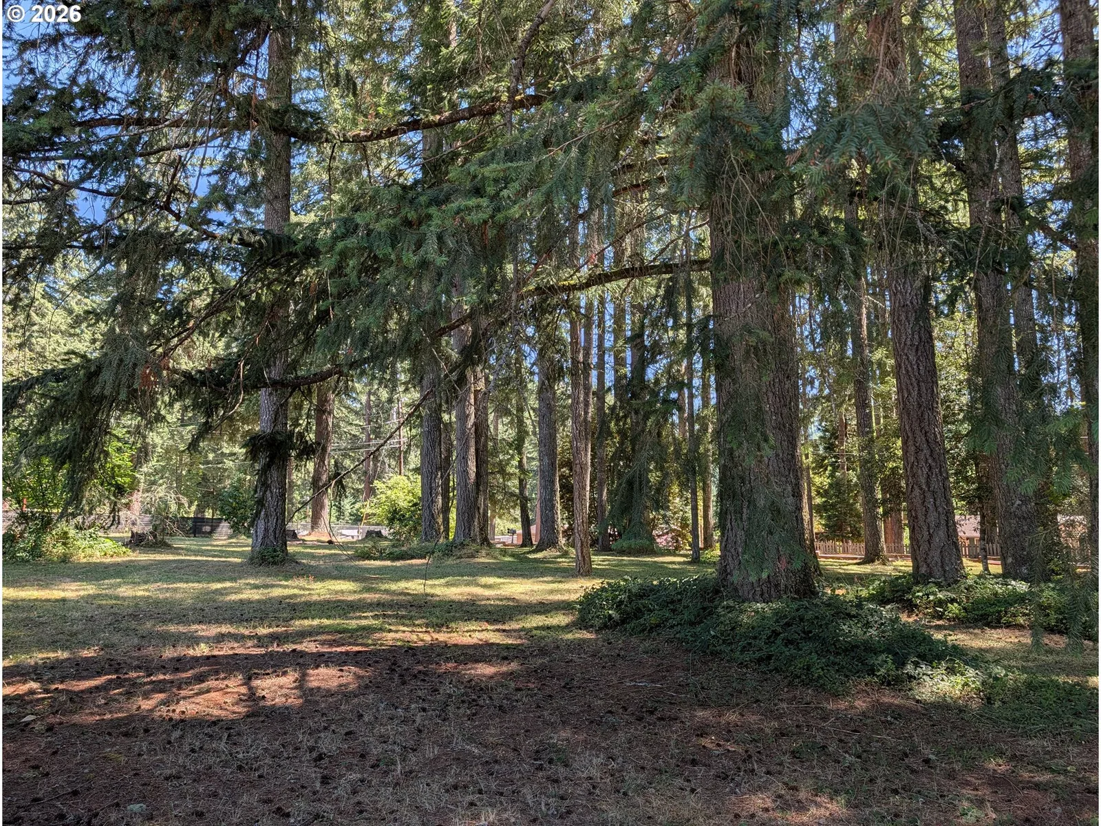 49241 Mountain View Rd, Oakridge, OR 97463 — photograph 13