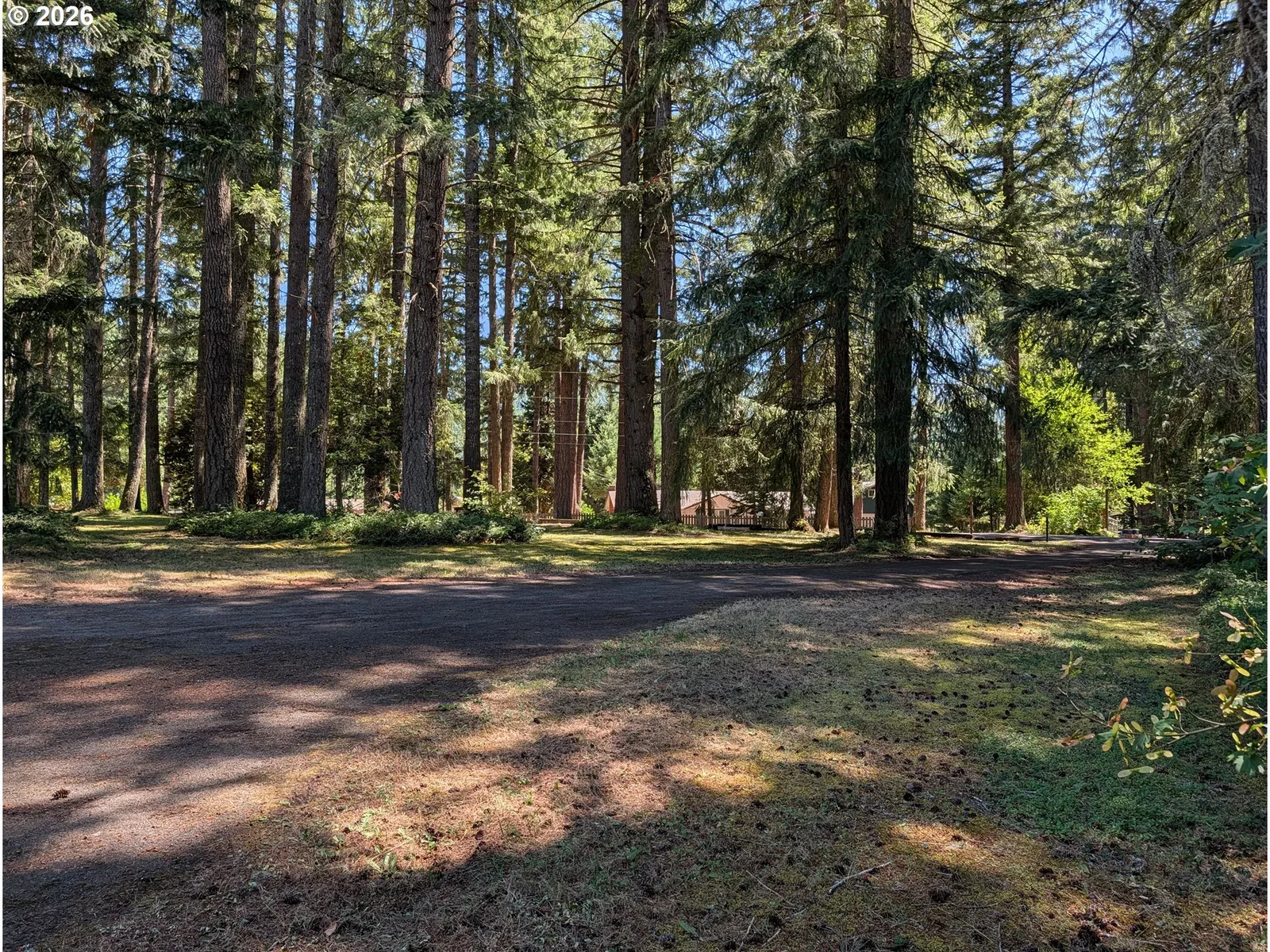 49241 Mountain View Rd, Oakridge, OR 97463 — photograph 46