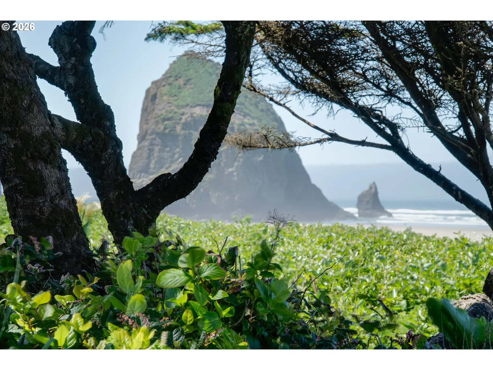 1360 Pacific St, Cannon Beach, OR 97110 — photograph 23