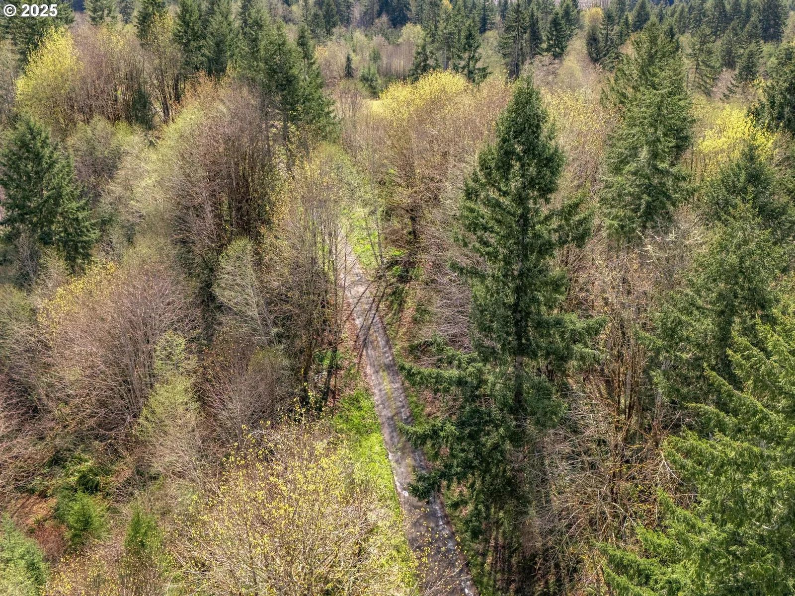 Wallace Rd, Clatskanie, OR 97016 — photograph 16