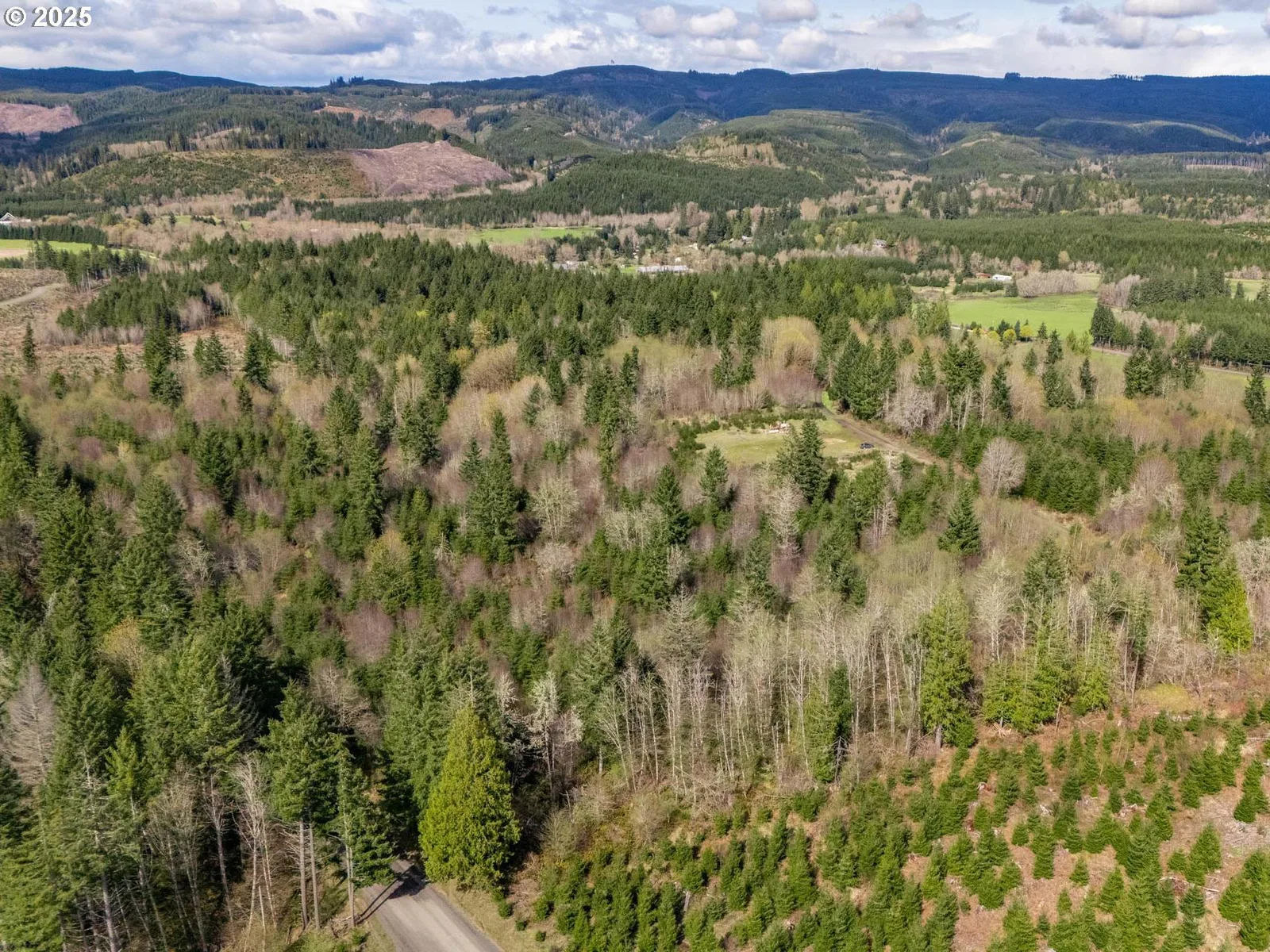 Wallace Rd, Clatskanie, OR 97016 — photograph 7