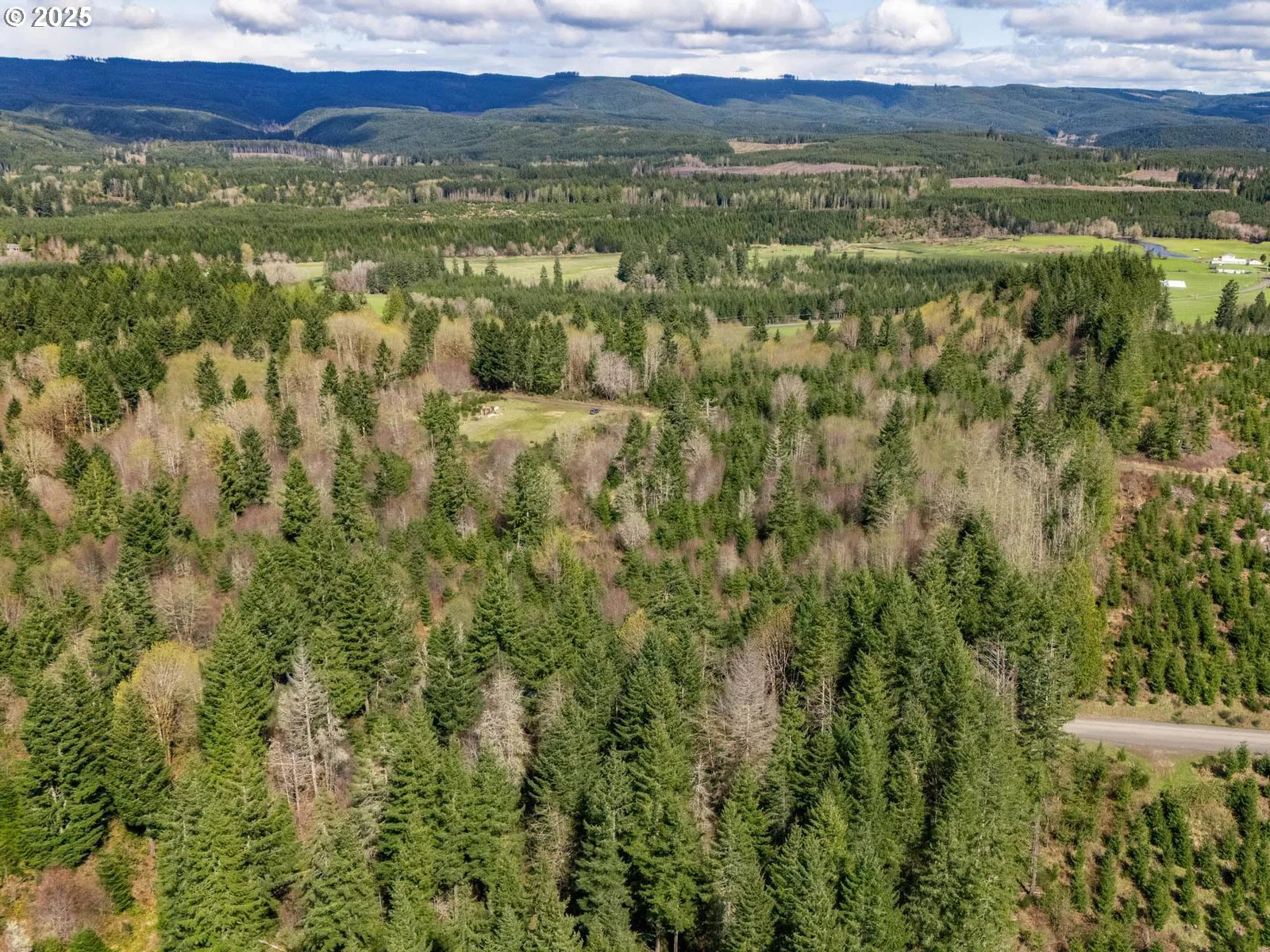 Wallace Rd, Clatskanie, OR 97016 — photograph 8