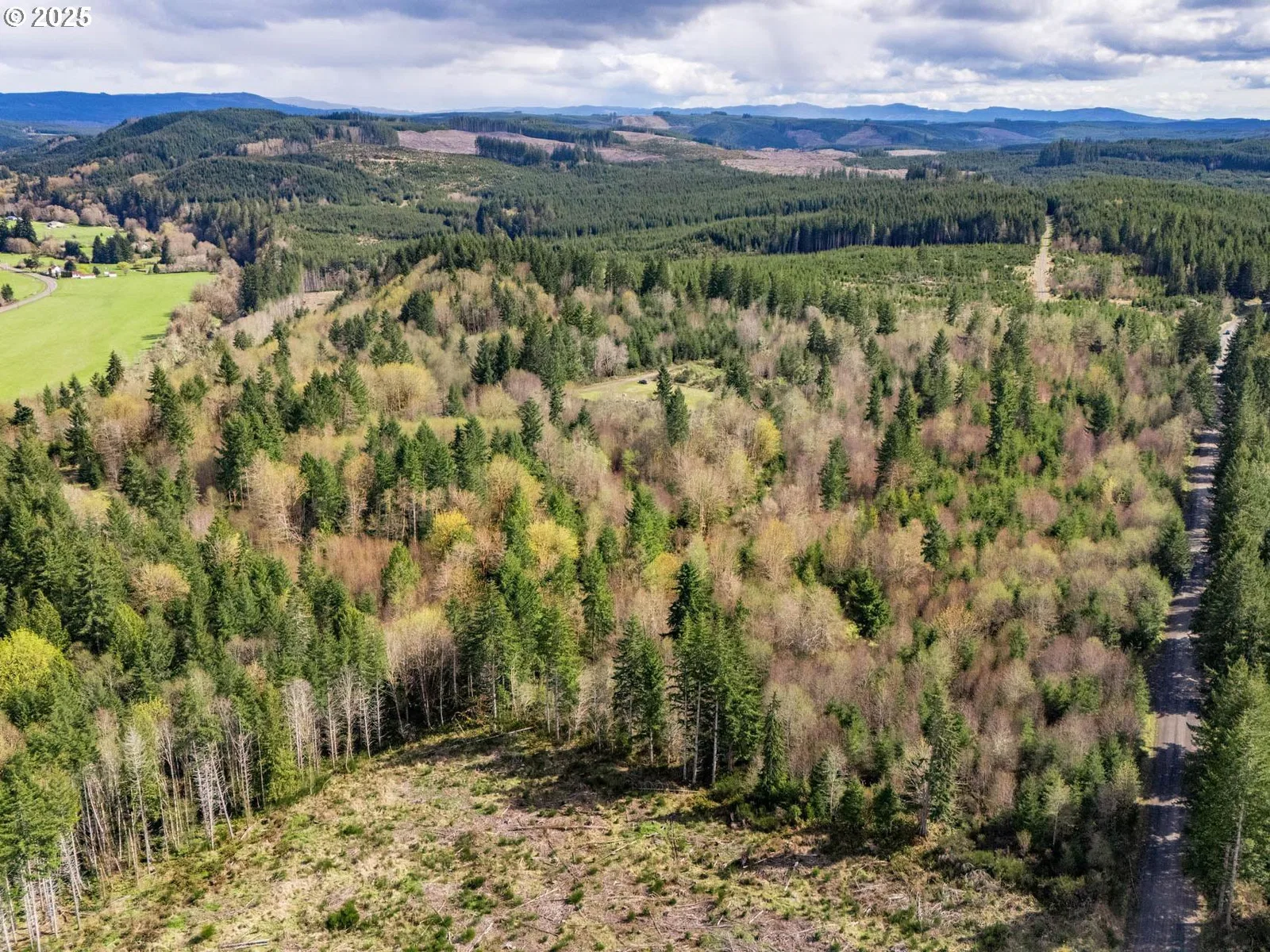 Wallace Rd, Clatskanie, OR 97016 — photograph 10