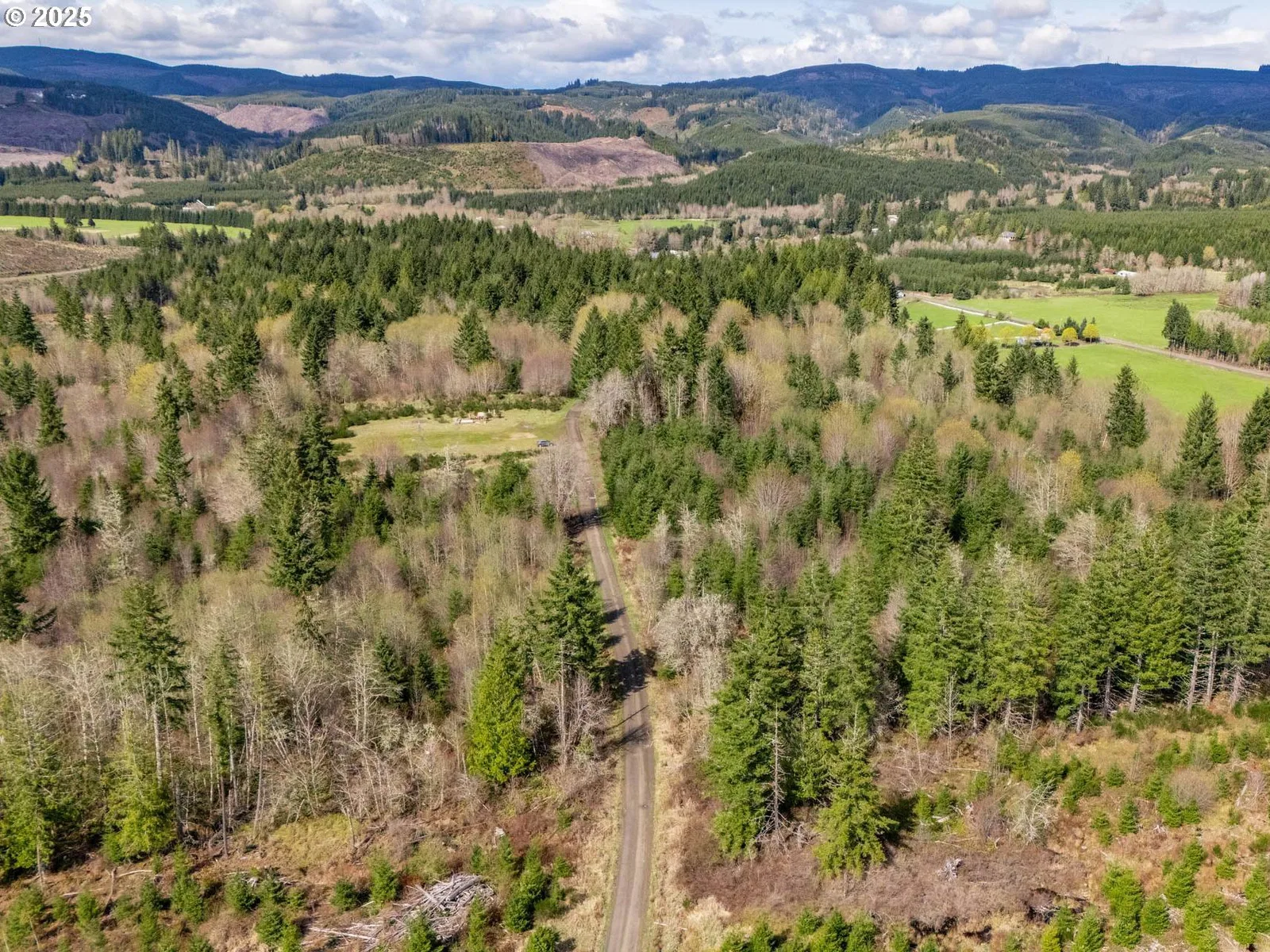 Wallace Rd, Clatskanie, OR 97016 — photograph 12