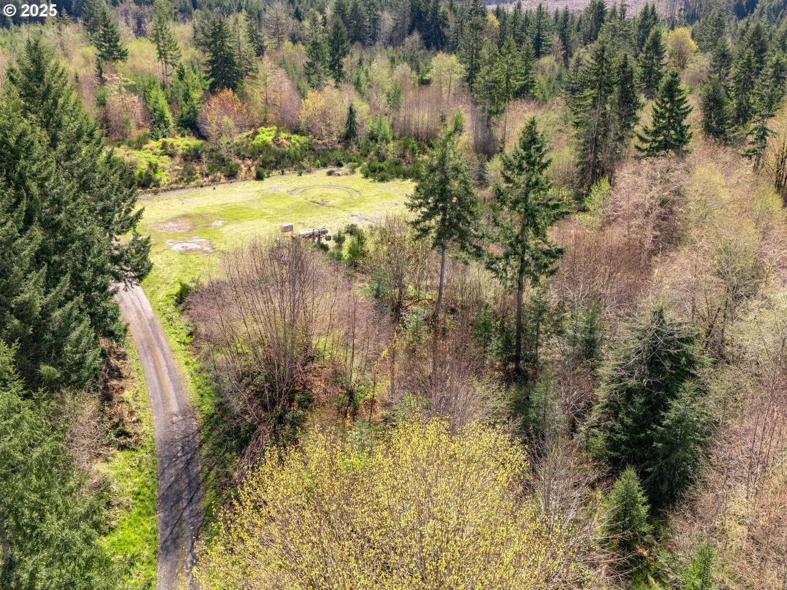 Wallace Rd, Clatskanie, OR 97016 — photograph 17
