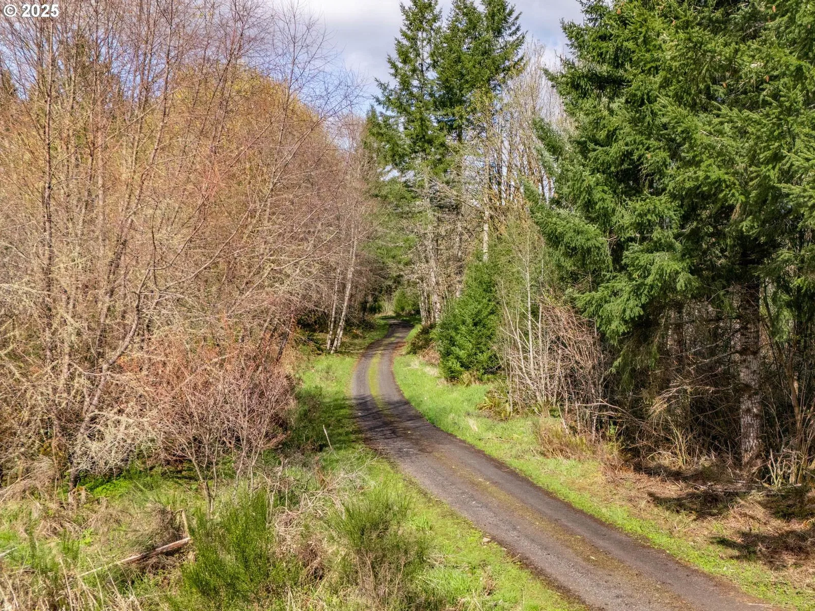Wallace Rd, Clatskanie, OR 97016 — photograph 13