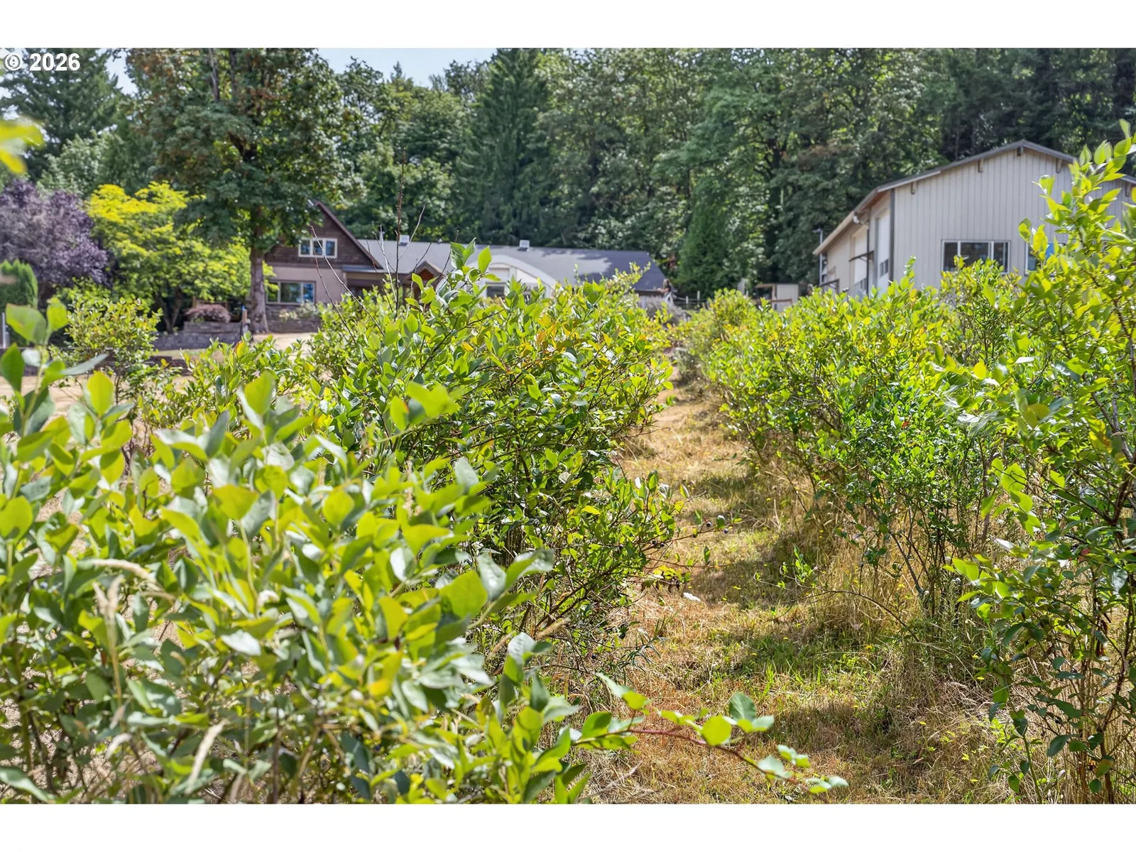 2060 SW Butler Rd, Gresham, OR 97080 — photograph 45