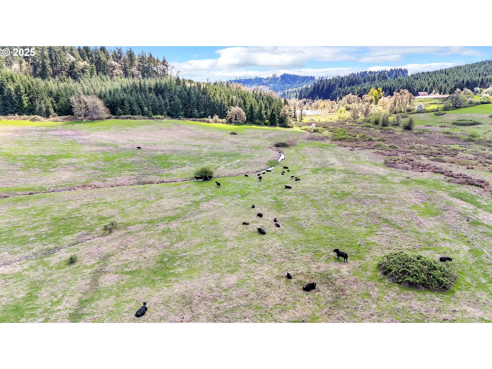 26900 Crow Rd, Eugene, OR 97402 — photograph 10