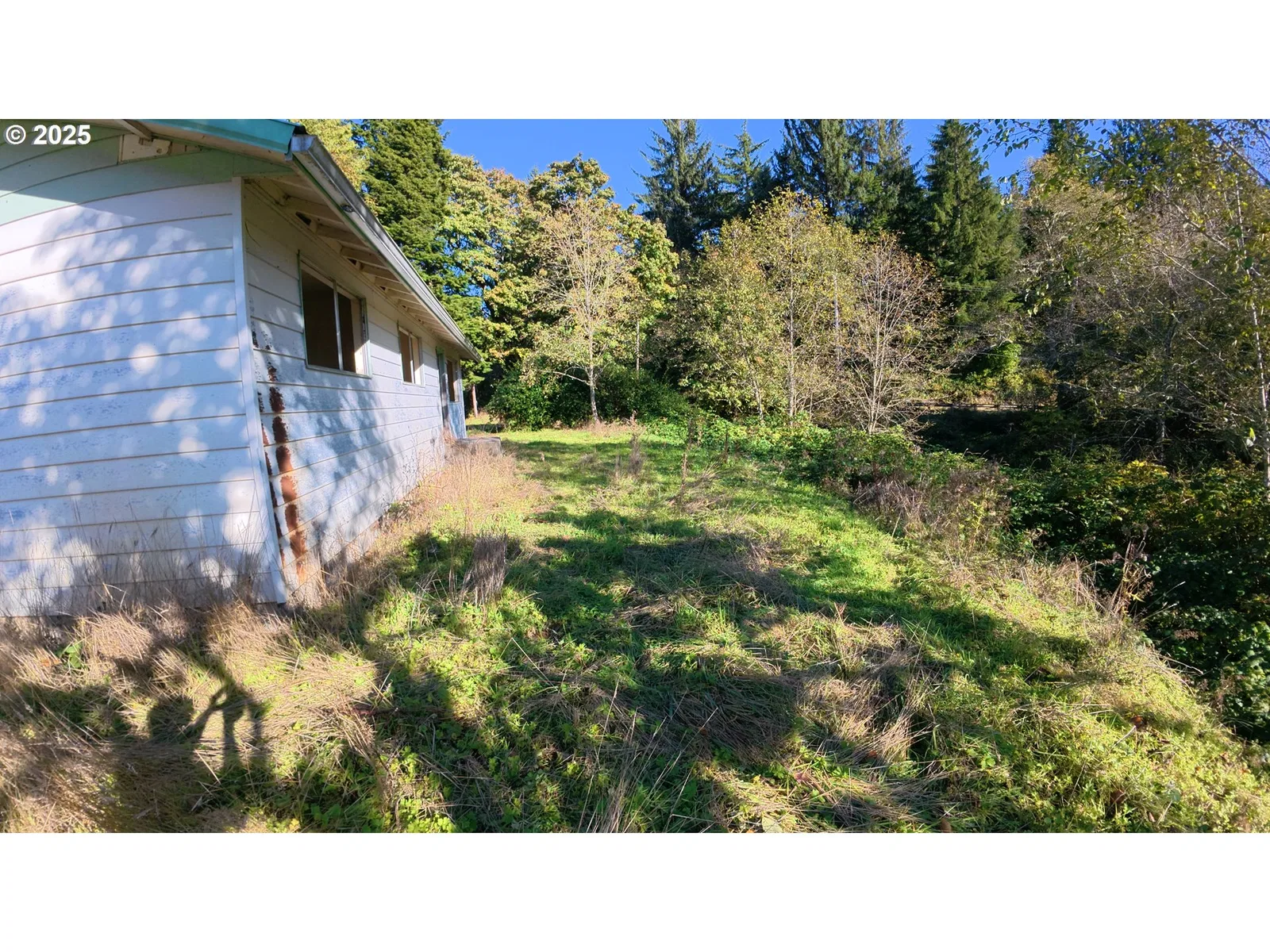 105 E Valley Rd, Skamokawa, Wa 98647 — photograph 13