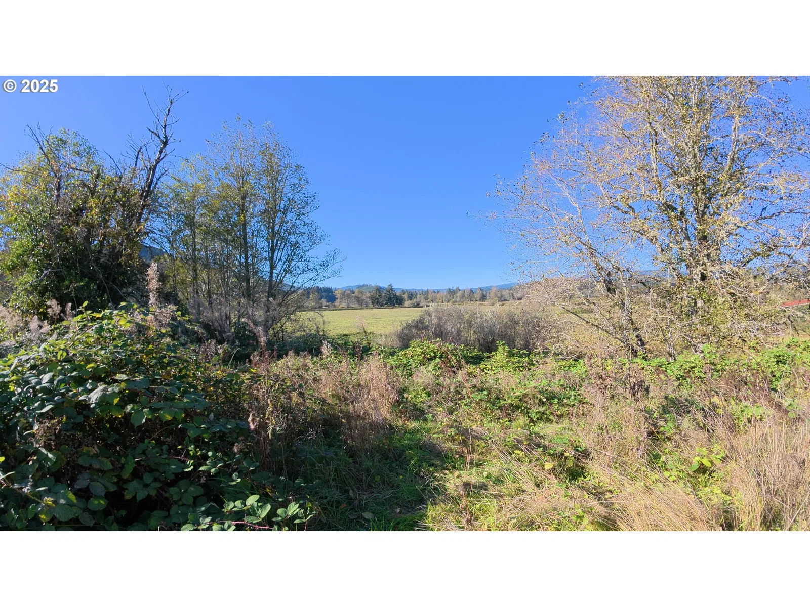 105 E Valley Rd, Skamokawa, Wa 98647 — photograph 10