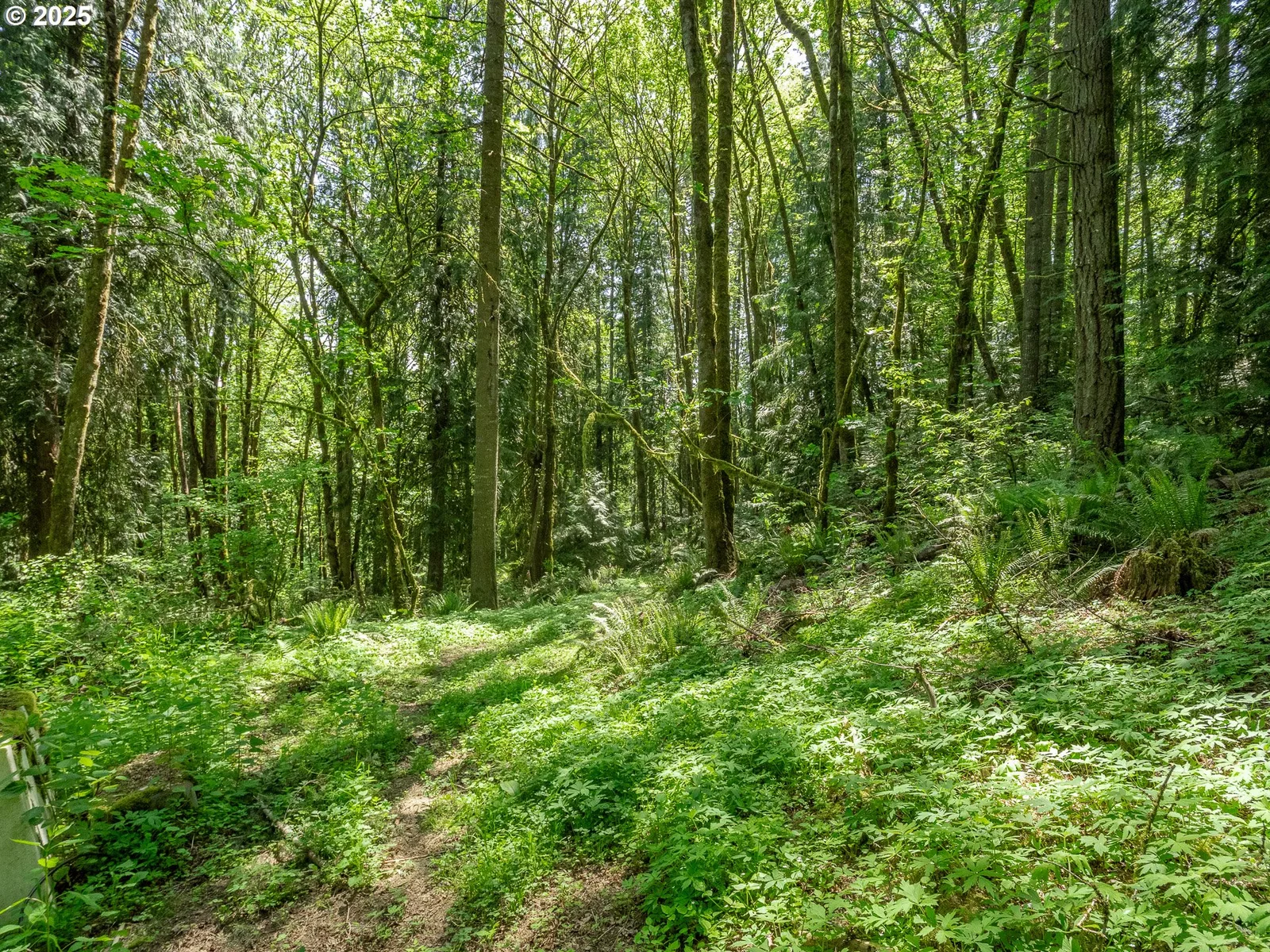 27701 SW Strawberry Hill Dr, Hillsboro, OR 97123 — photograph 42
