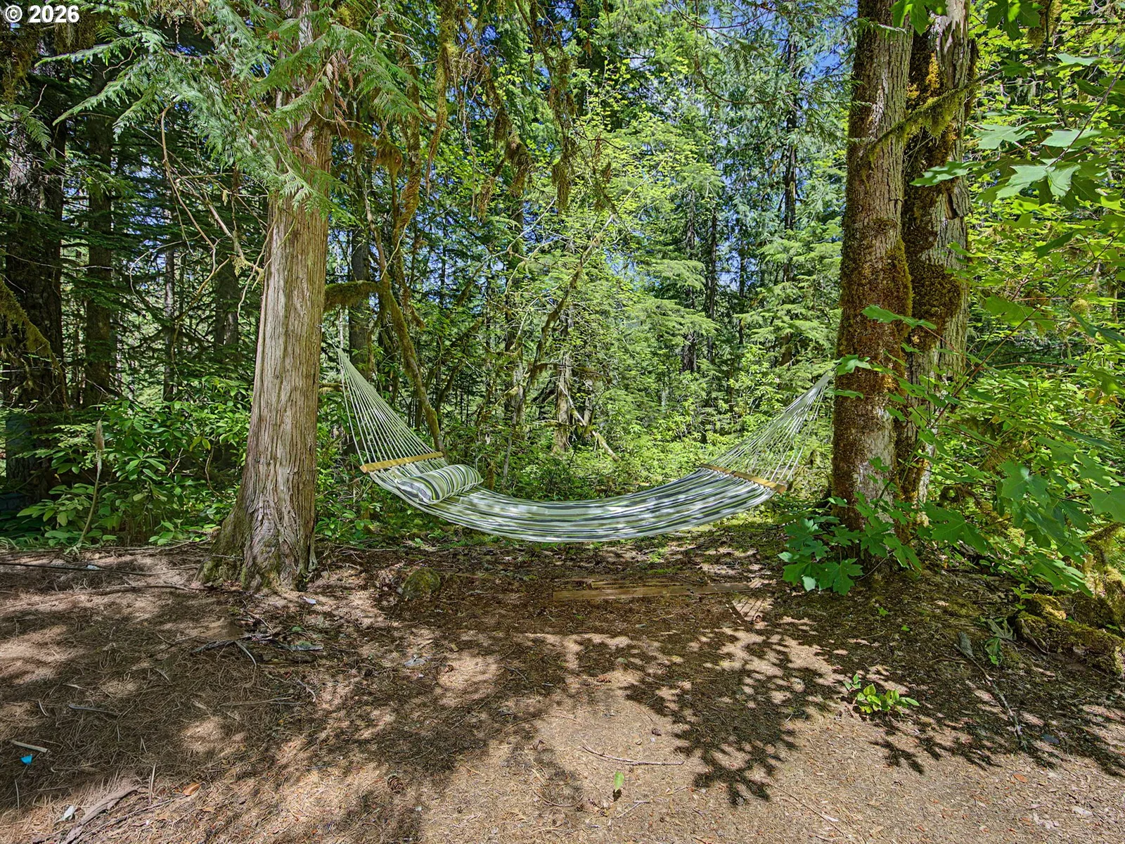 28548 E Road 20 Lot 51, Rhododendron, OR 97049 — photograph 46