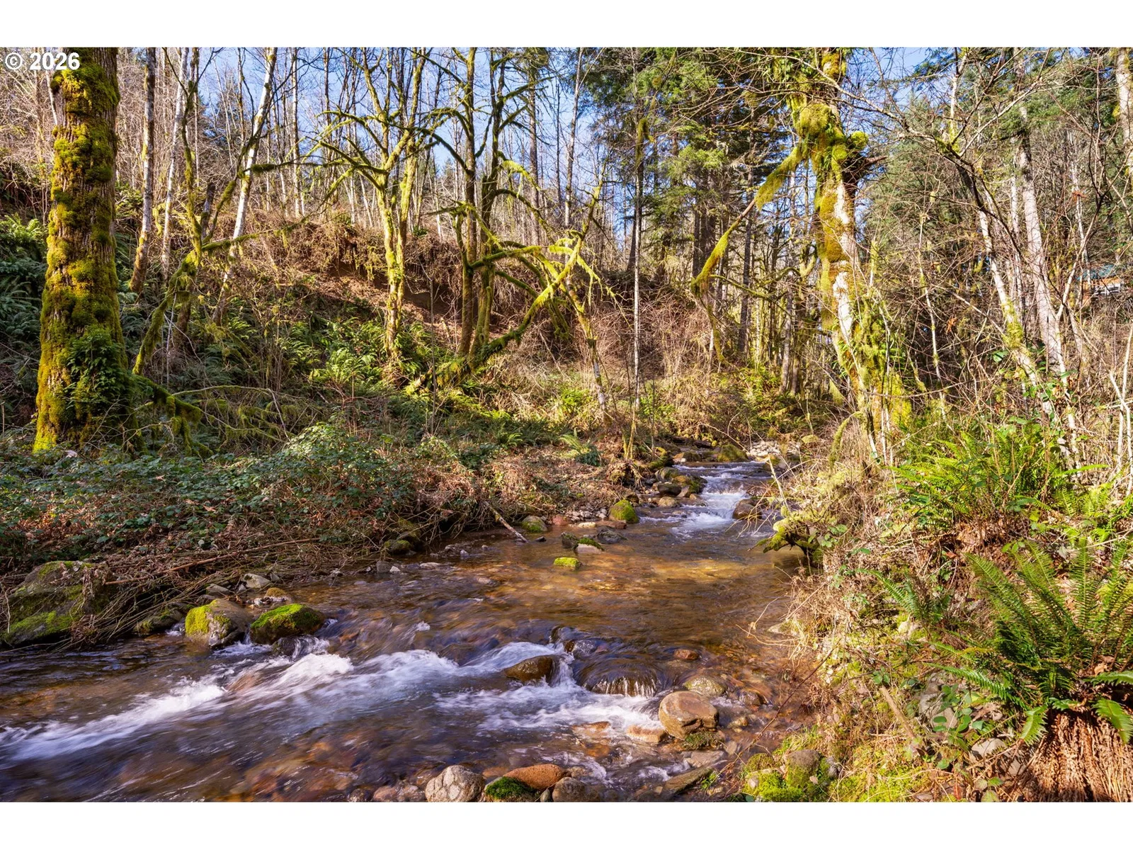 168 Yale Landing Rd, Cougar, Wa 98616 — photograph 47