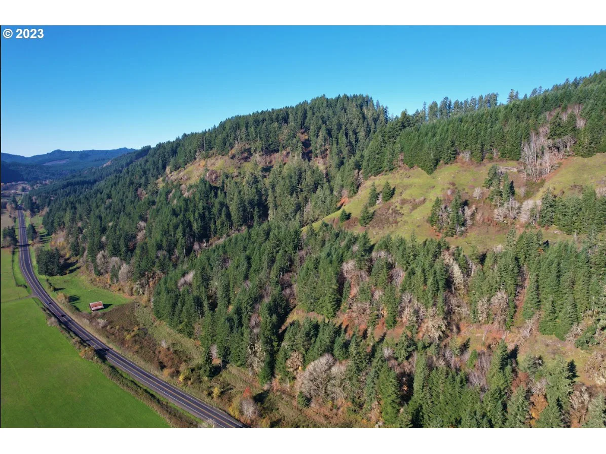 0 State Highway 38, Elkton, OR 97436 — photograph 7