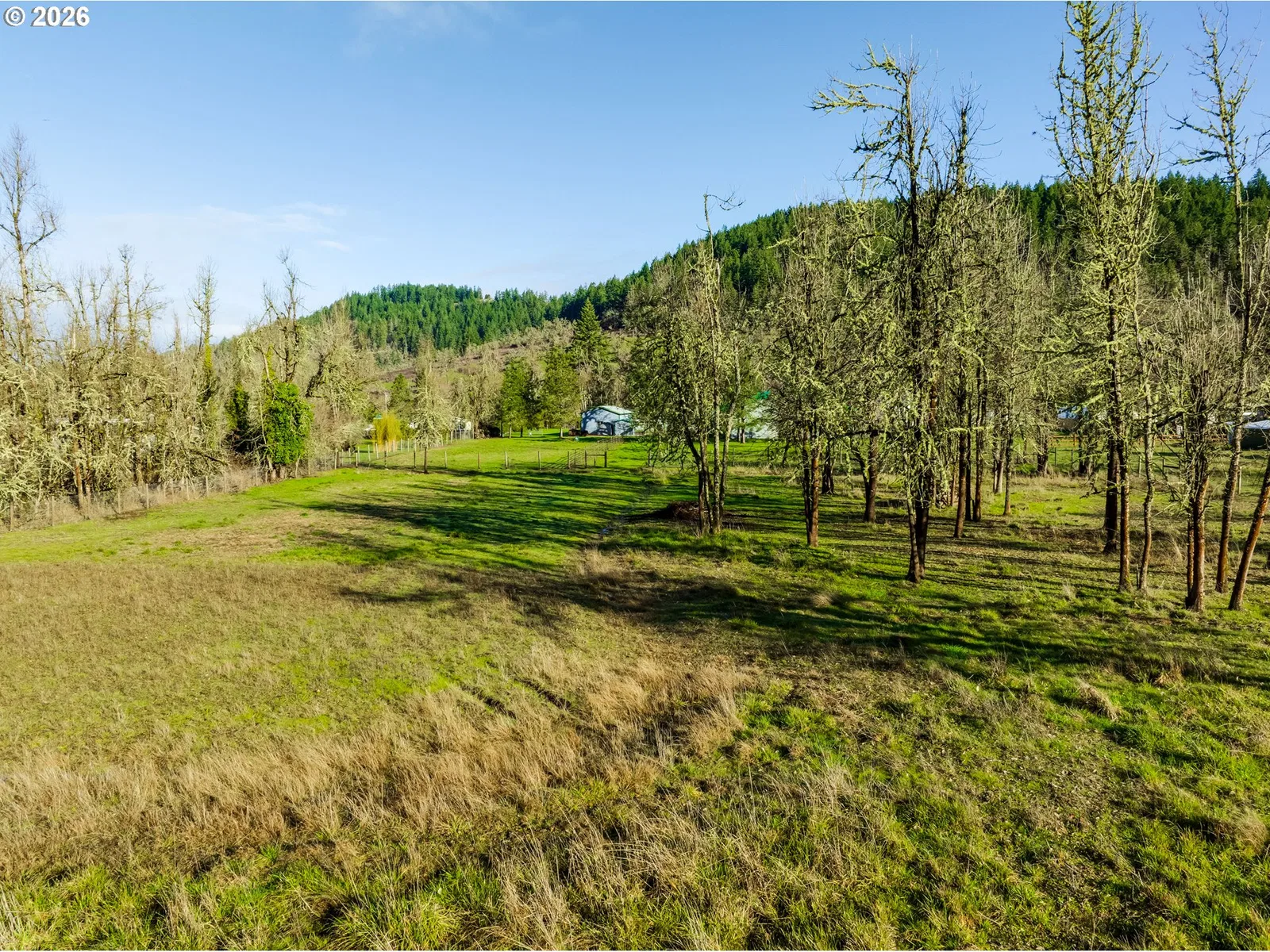 37410 Hills Creek Rd, Springfield, OR 97478 — photograph 42