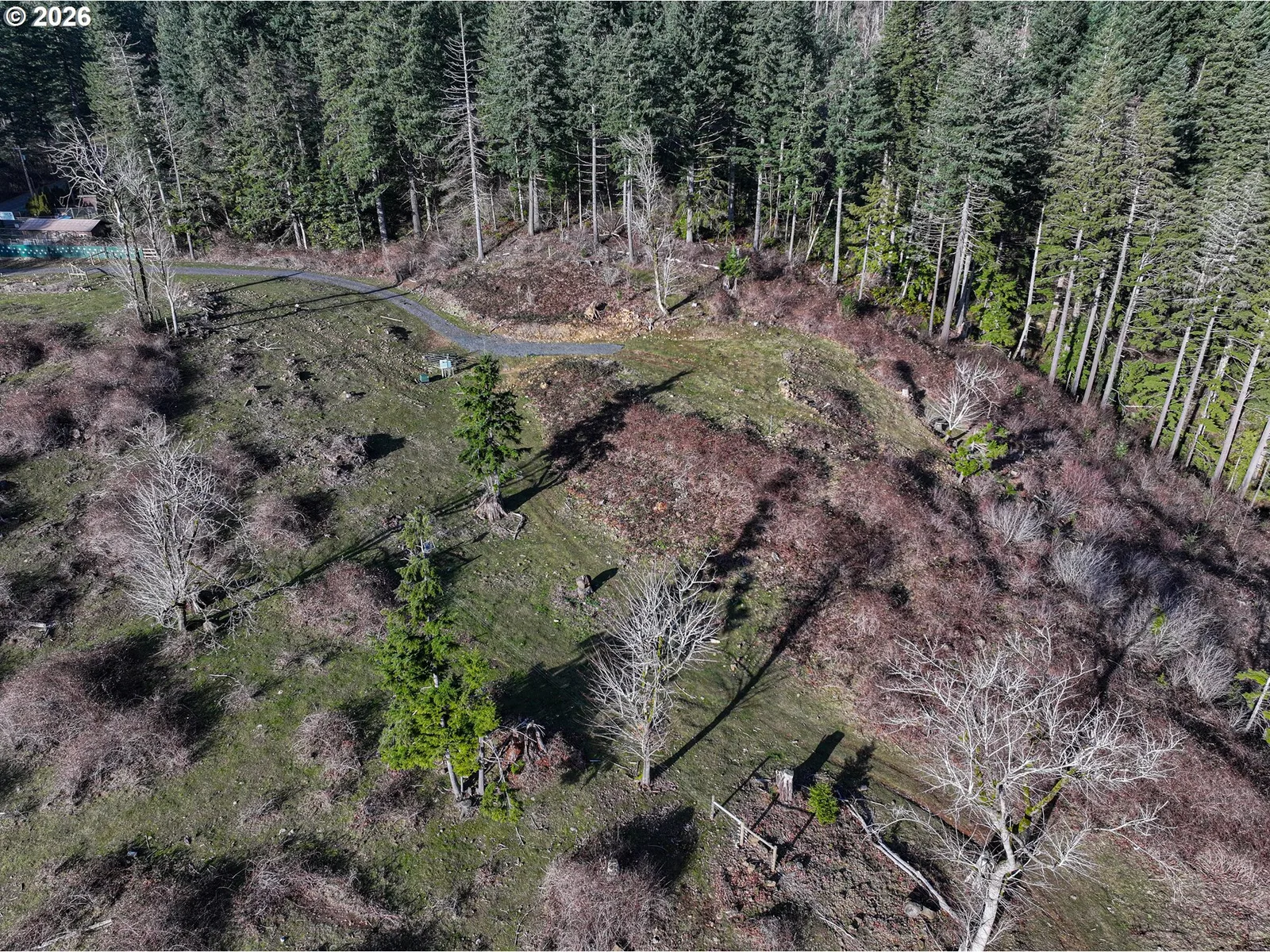 562 Woodard Creek Rd, Stevenson, Wa 98648 — photograph 19
