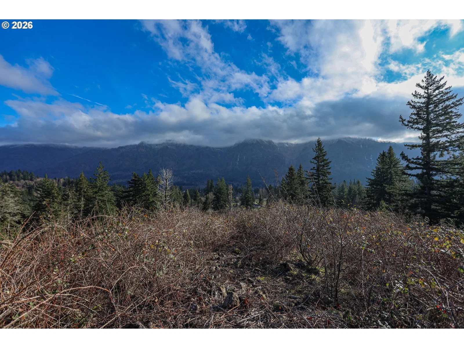 562 Woodard Creek Rd, Stevenson, Wa 98648 — photograph 39