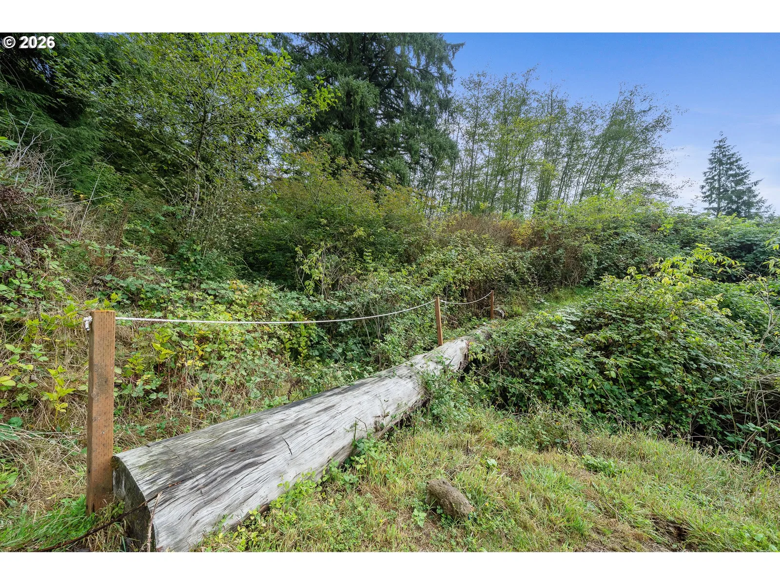 4095 Westwood Dr, Tillamook, OR 97141 — photograph 42