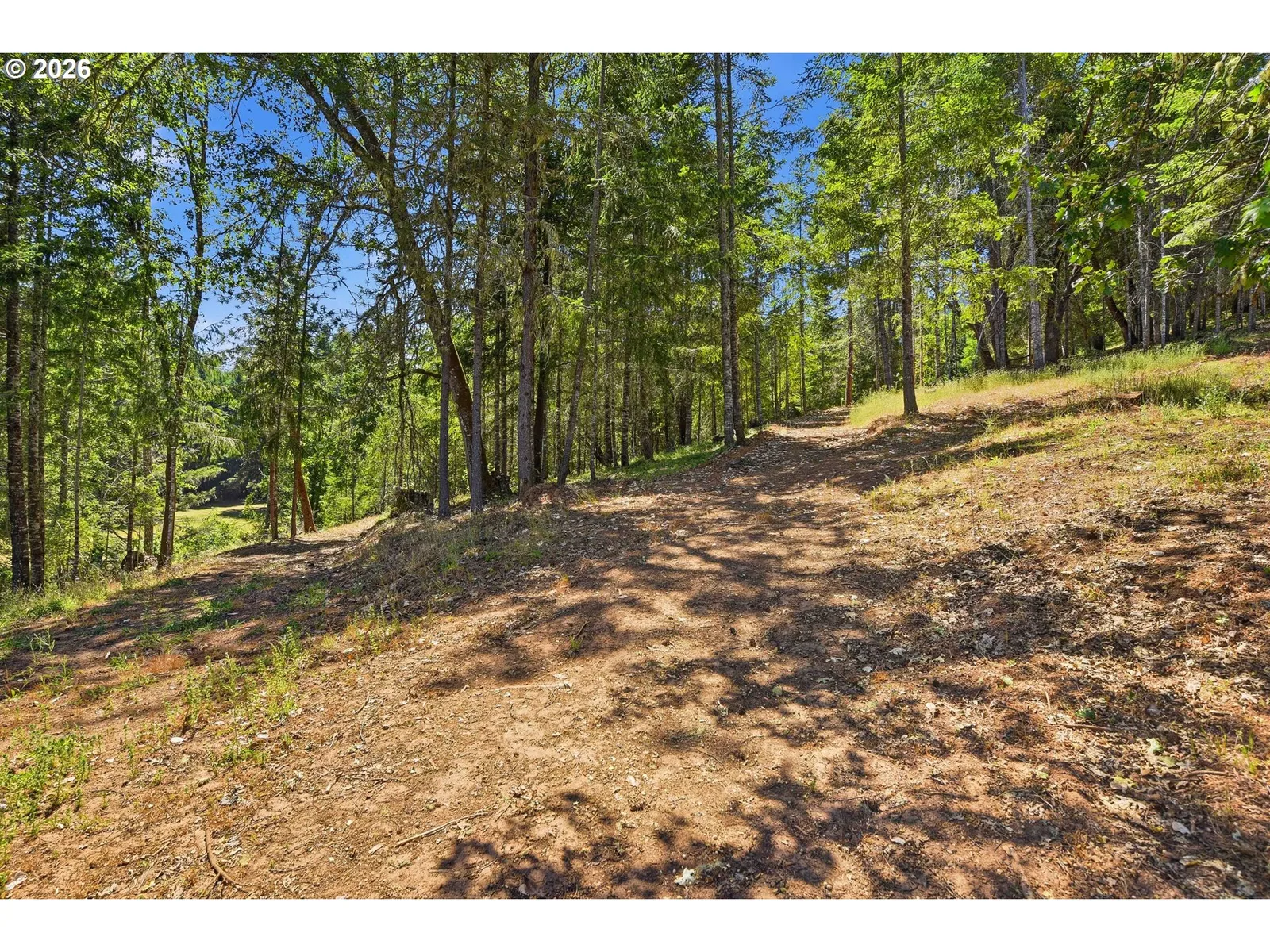 1060 Murdock Dr, Oakland, OR 97462 — photograph 27