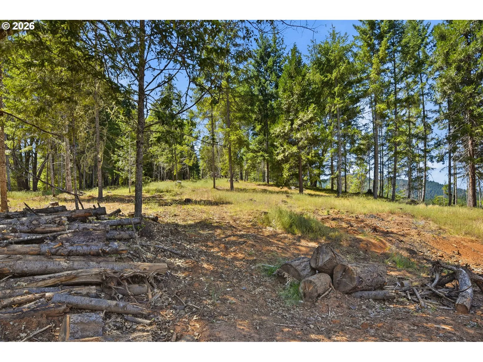 1060 Murdock Dr, Oakland, OR 97462 — photograph 29