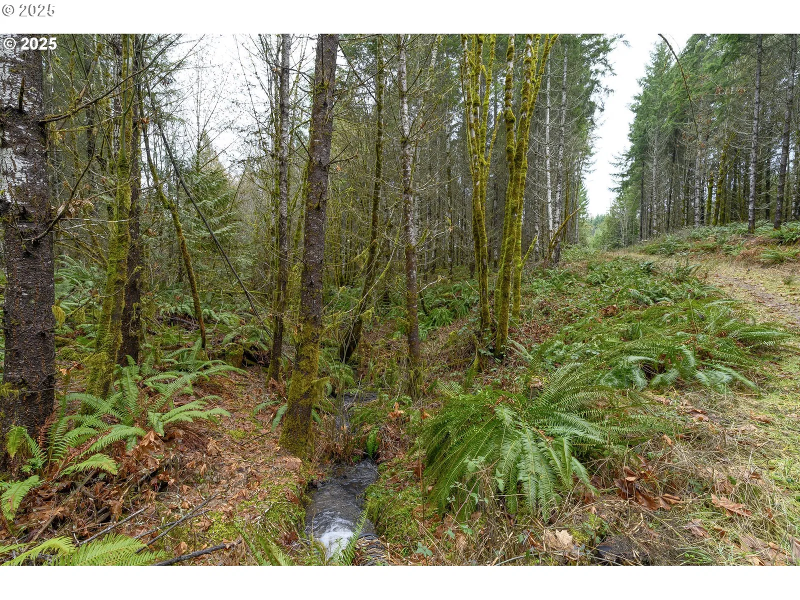0 NW Panther Creek, Carlton, OR 97111 — photograph 19