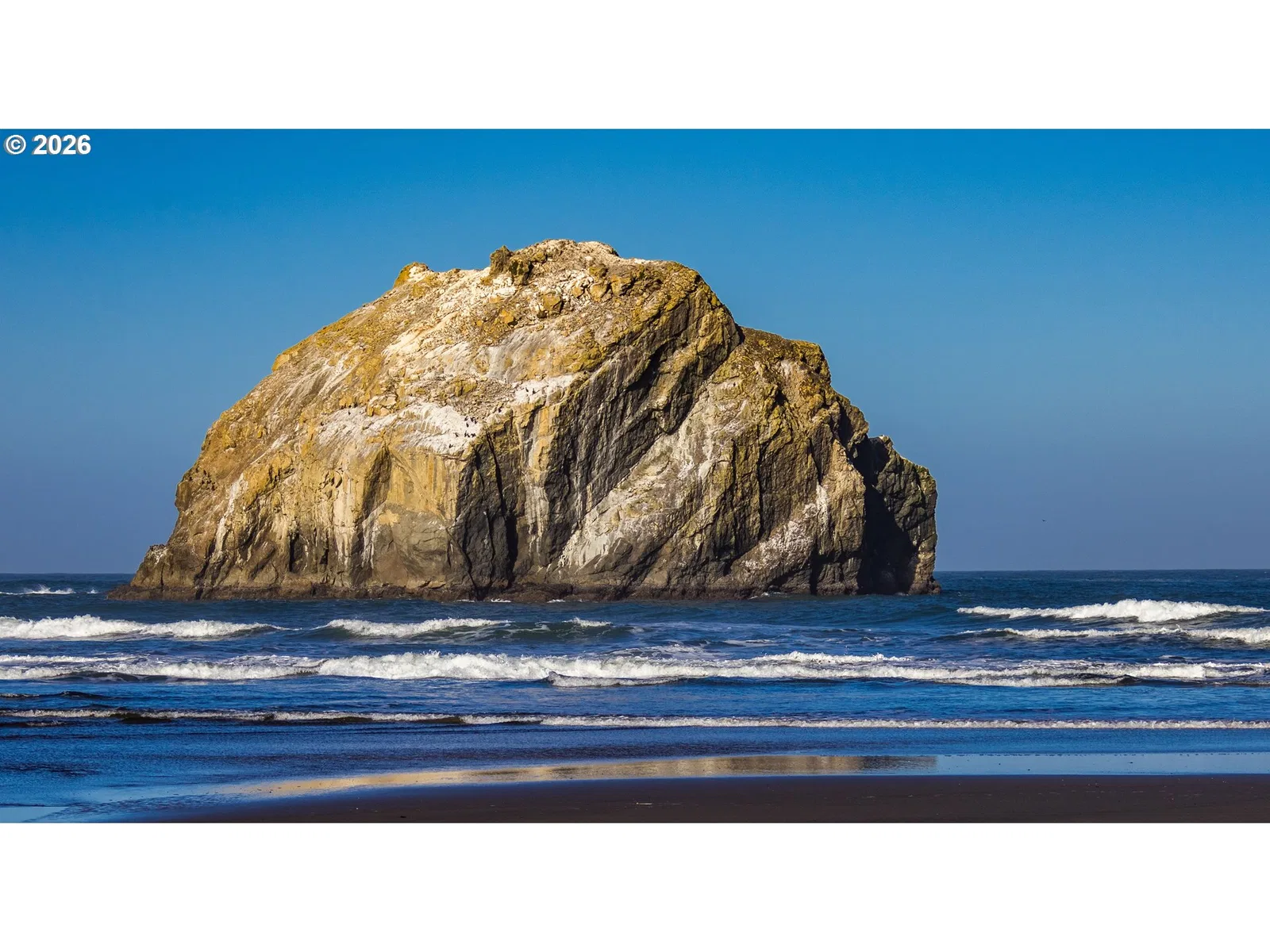 Shearwater Cir 5, Bandon, OR 97411 — photograph 41