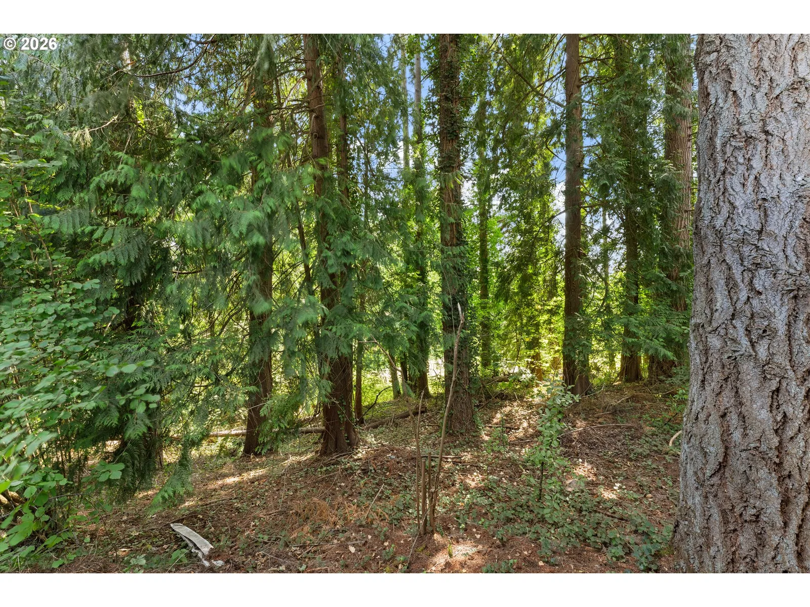 100 SW 195th Ave 184, Beaverton, OR 97006 — photograph 32