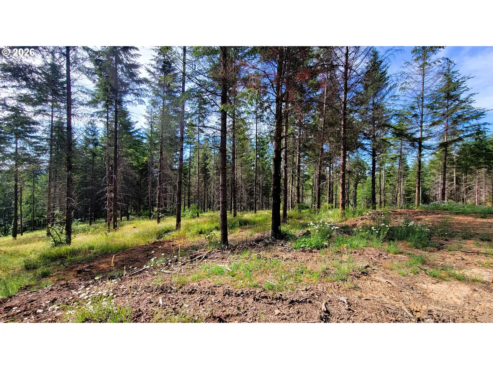 Northill Ranch Rd 108, Eugene, OR 97402 — photograph 6