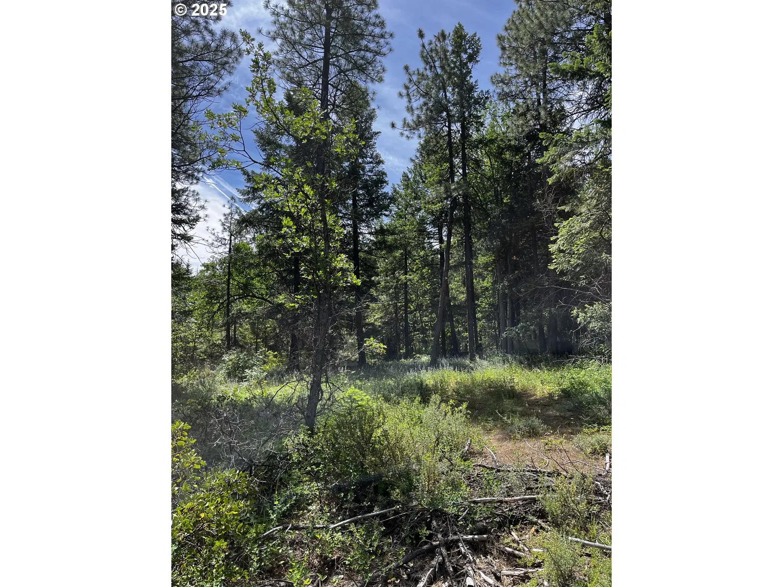0 Kelly Springs, Pine Grove, OR 97037 — photograph 8