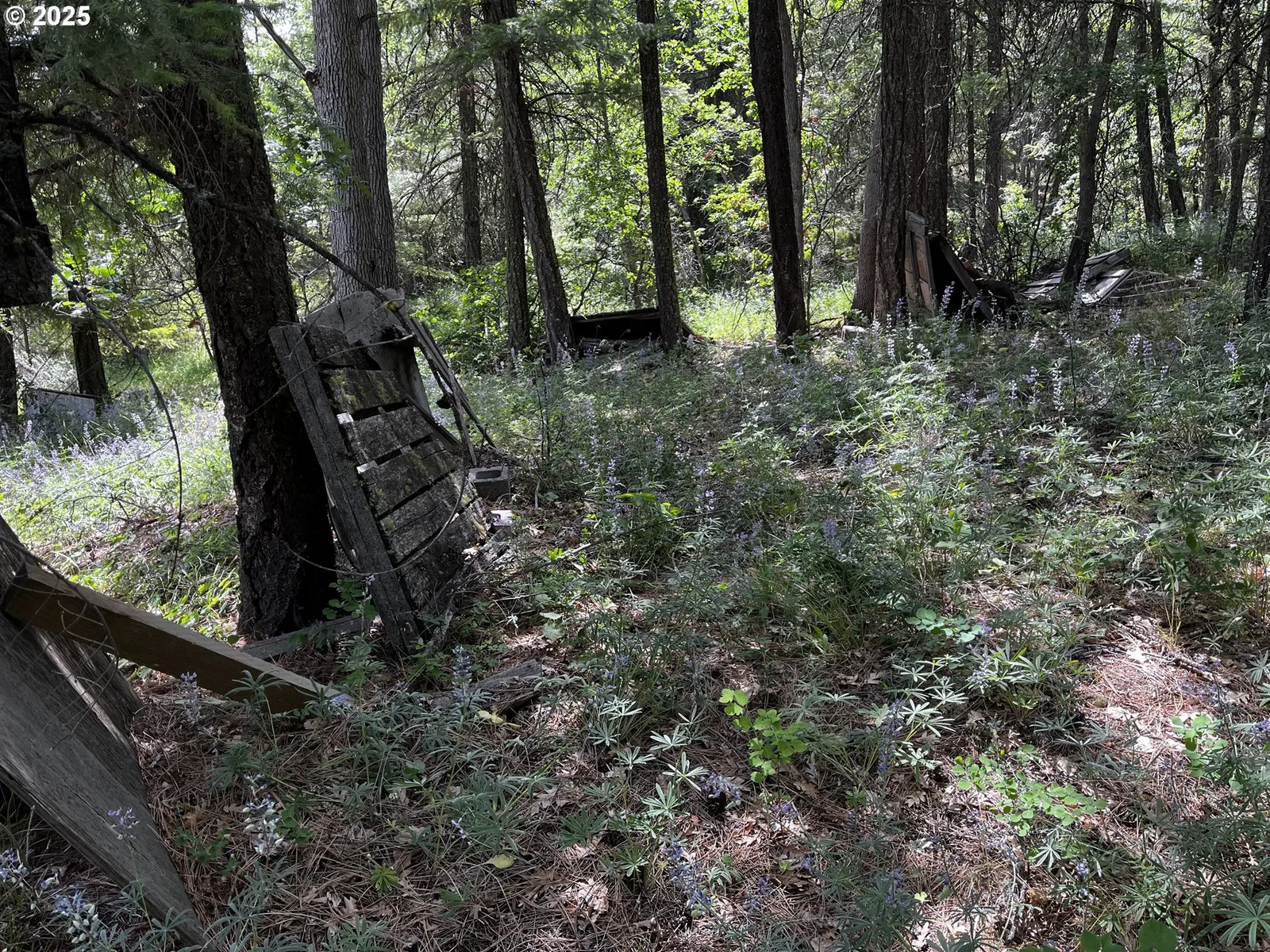 0 Kelly Springs, Pine Grove, OR 97037 — photograph 10