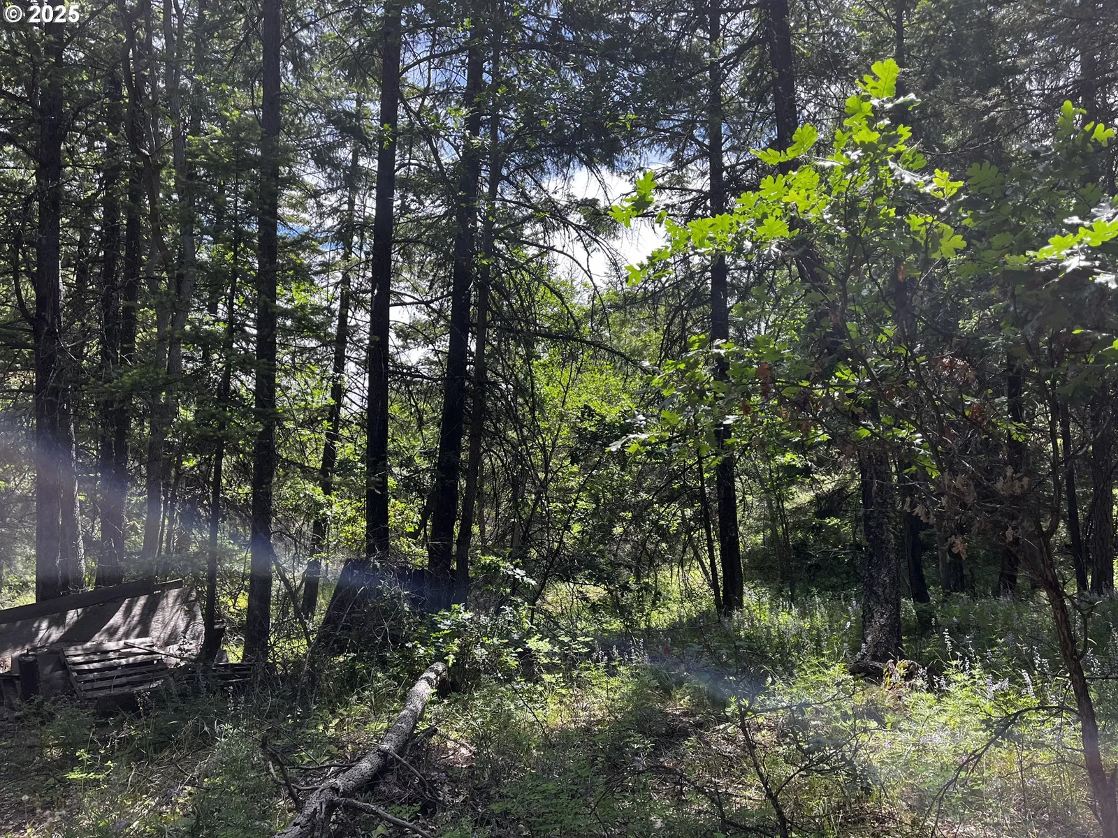 0 Kelly Springs, Pine Grove, OR 97037 — photograph 12