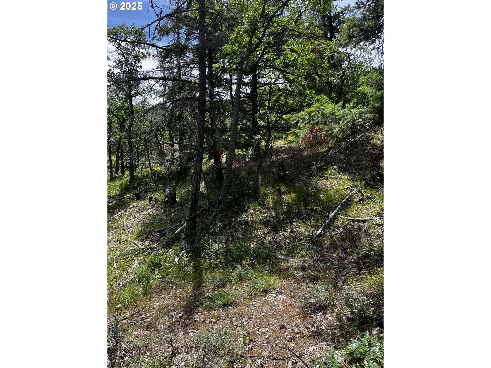 0 Kelly Springs, Pine Grove, OR 97037 — photograph 15