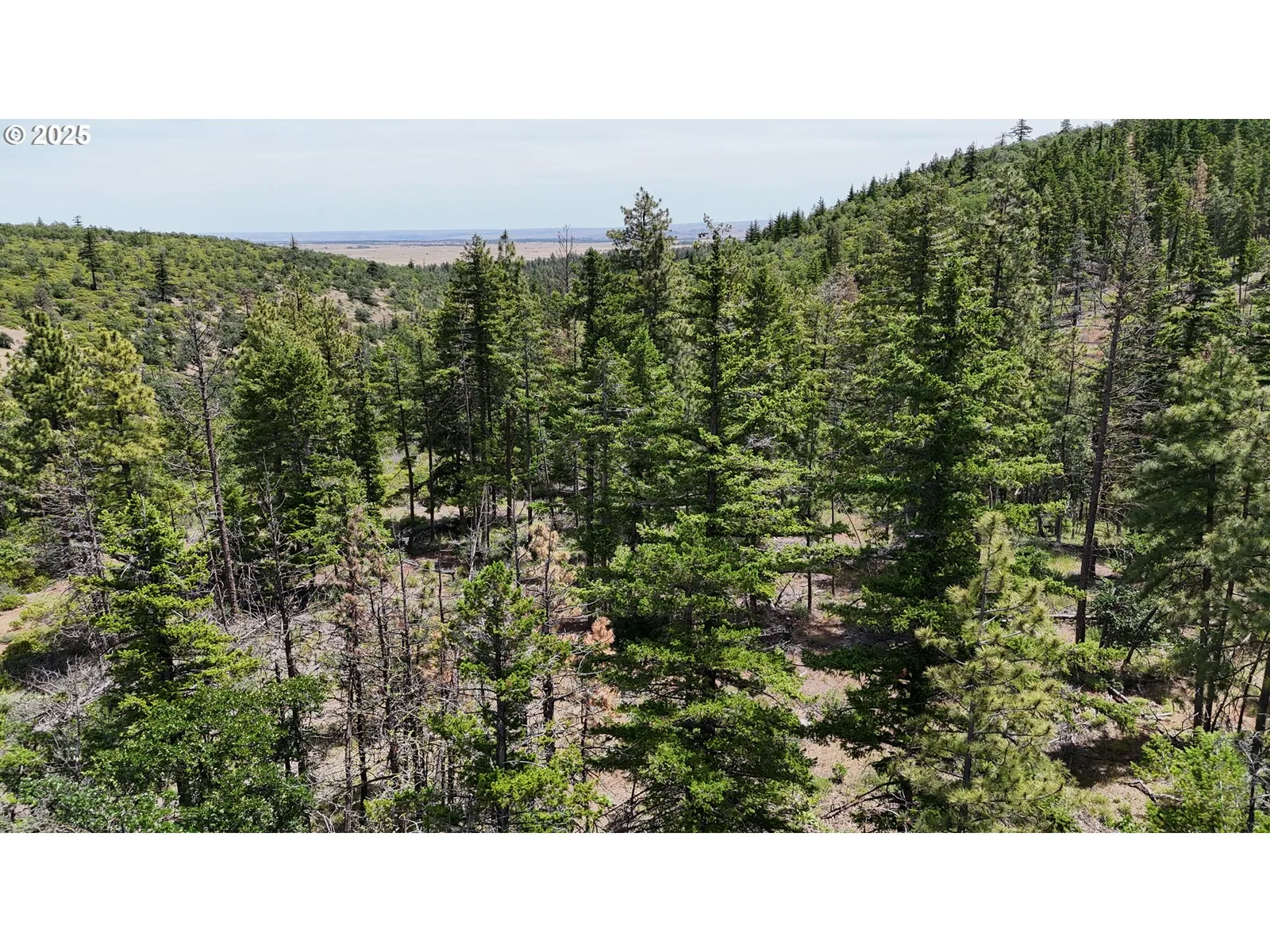 0 Kelly Springs, Pine Grove, OR 97037 — photograph 23