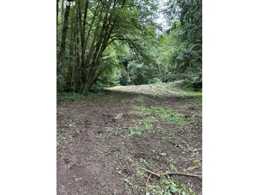 82467 Crowder Rd, Seaside, OR 97138 — photograph 19