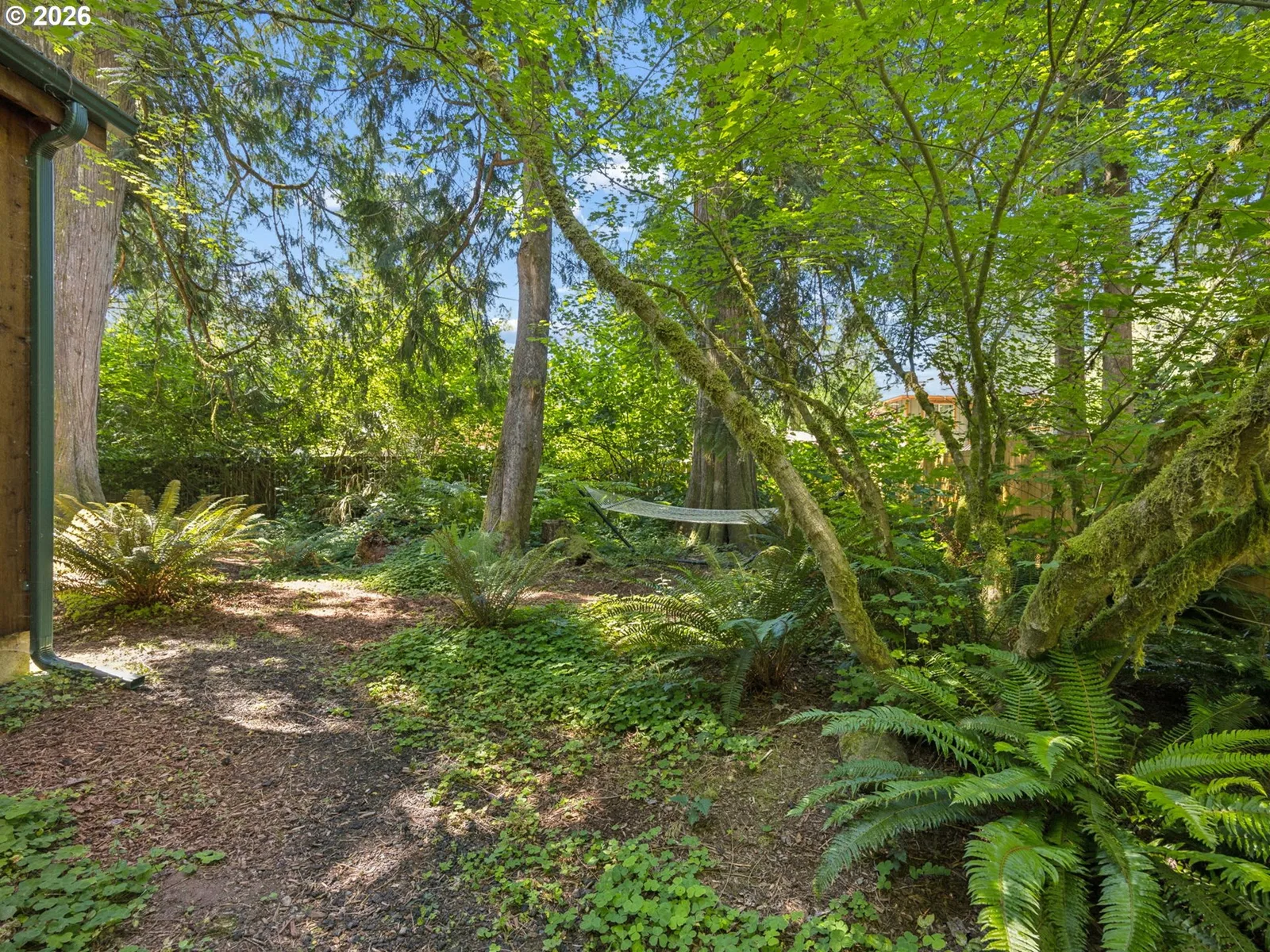 65582 E Timberline Dr, Rhododendron, OR 97049 — photograph 33
