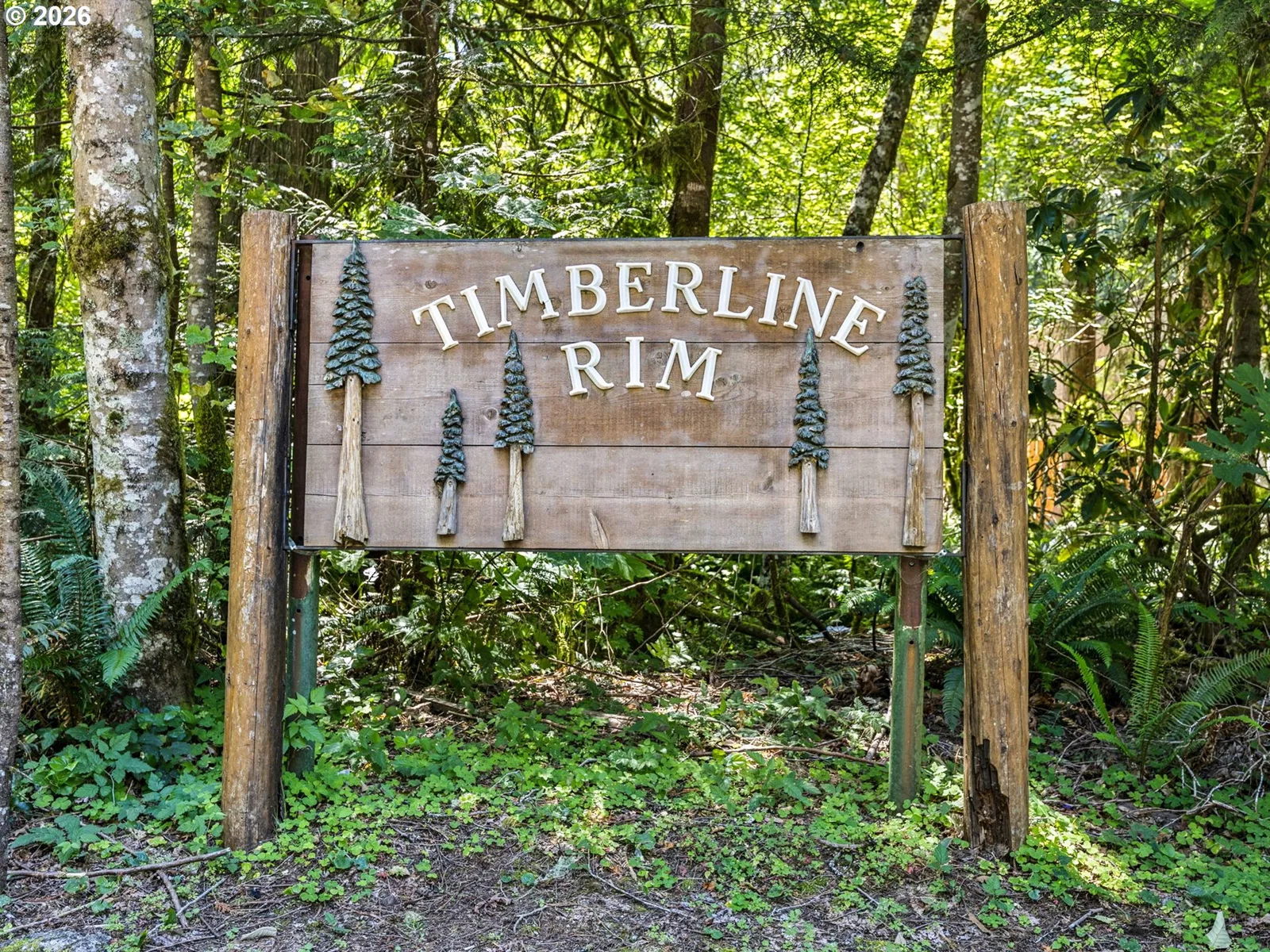 65582 E Timberline Dr, Rhododendron, OR 97049 — photograph 38
