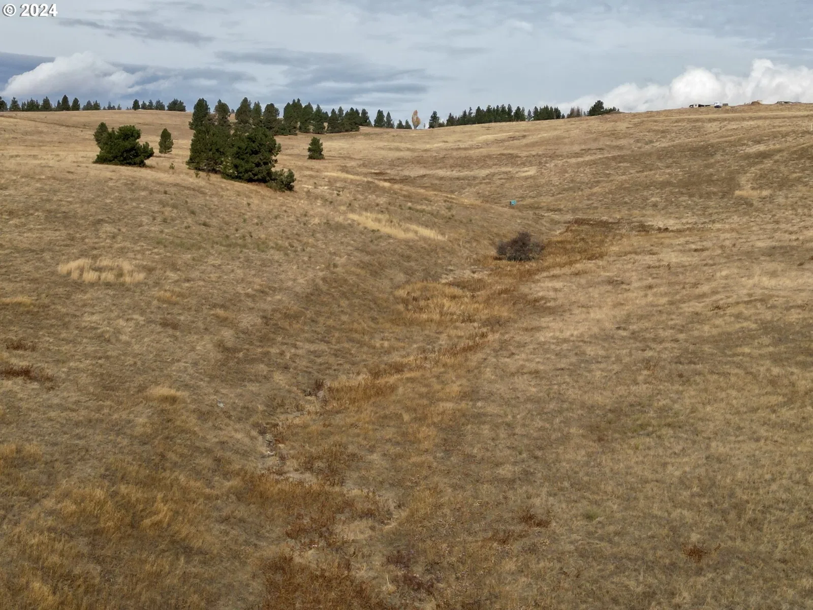 49 Restful Haven Dr, Lyle, Wa 98635 — photograph 13
