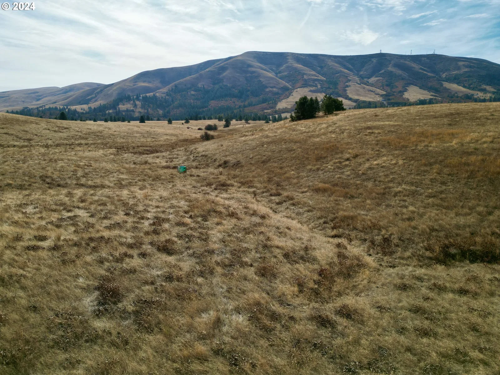 49 Restful Haven Dr, Lyle, Wa 98635 — photograph 19