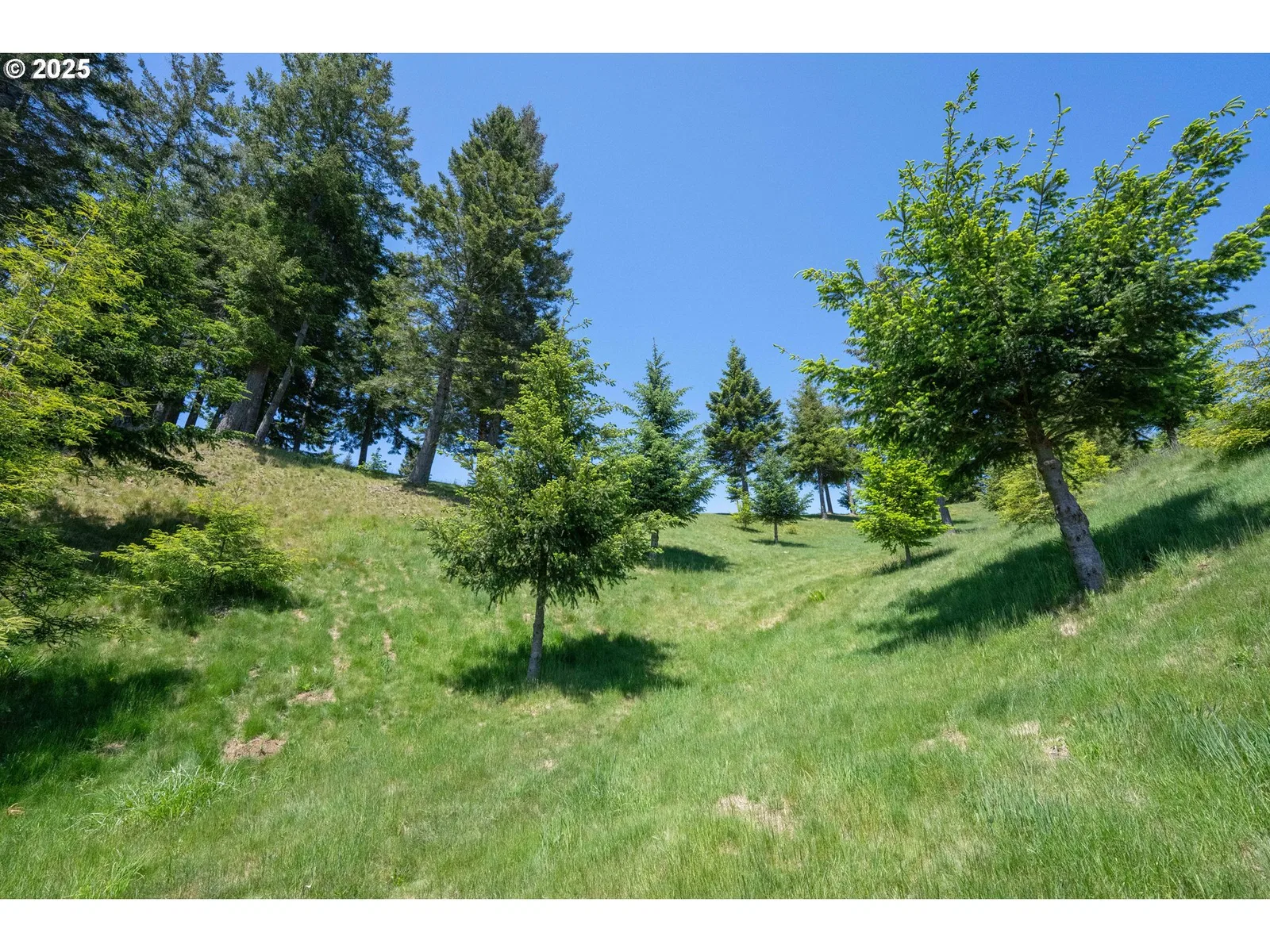 Bridgeview Dr, Brookings, OR 97415 — photograph 15
