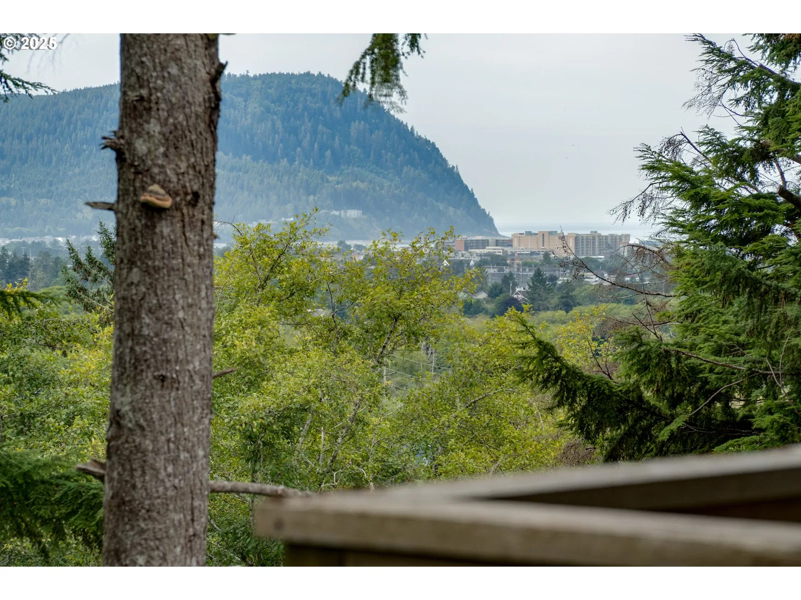 2344 Royal View Dr, Seaside, OR 97138 — photograph 25