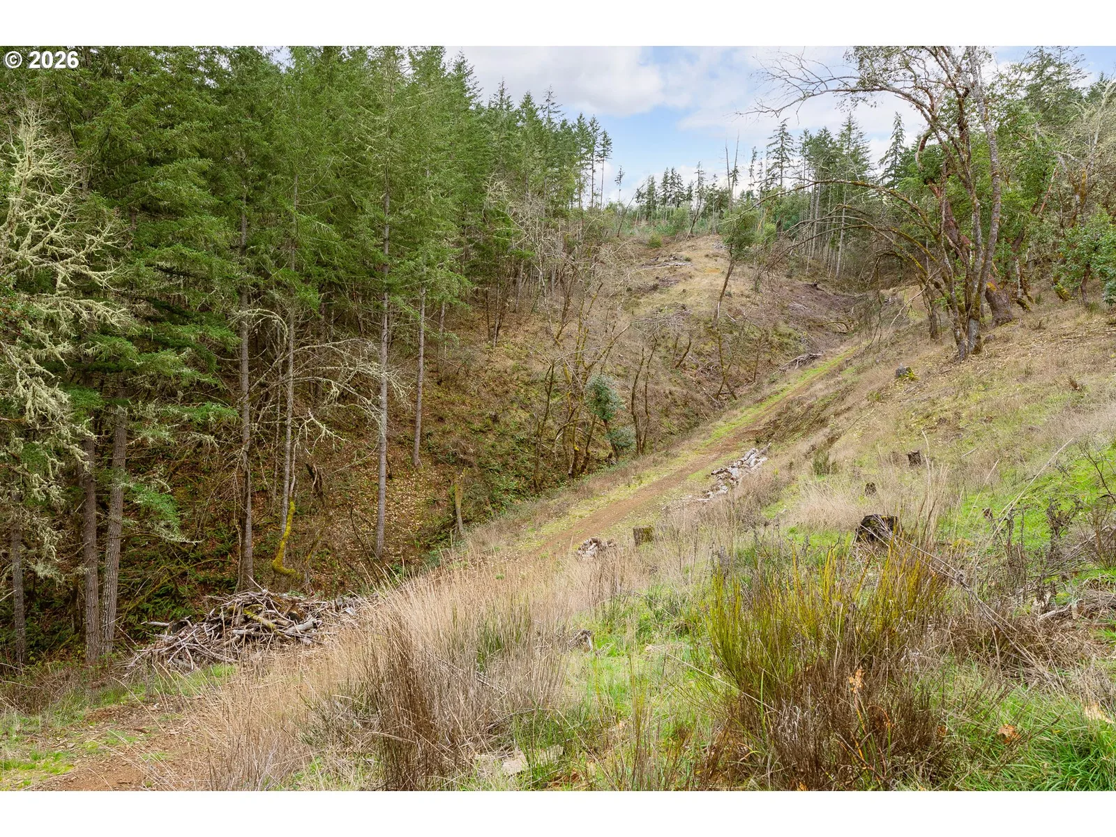 0 South Side Rd, Sutherlin, OR 97479 — photograph 13
