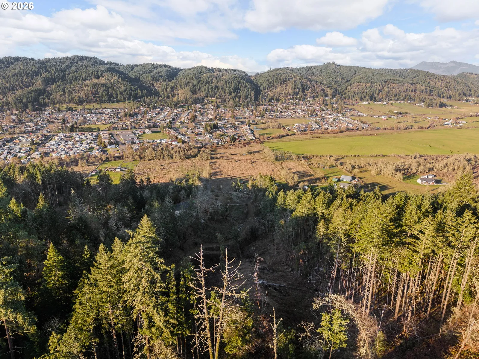 0 South Side Rd, Sutherlin, OR 97479 — photograph 17
