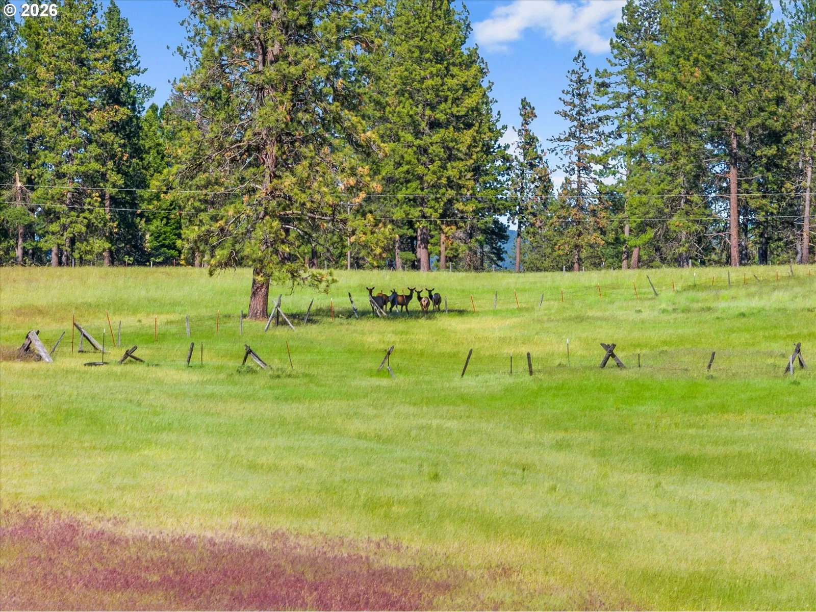 76545 Palmer Junction Rd, Elgin, OR 97827 — photograph 26